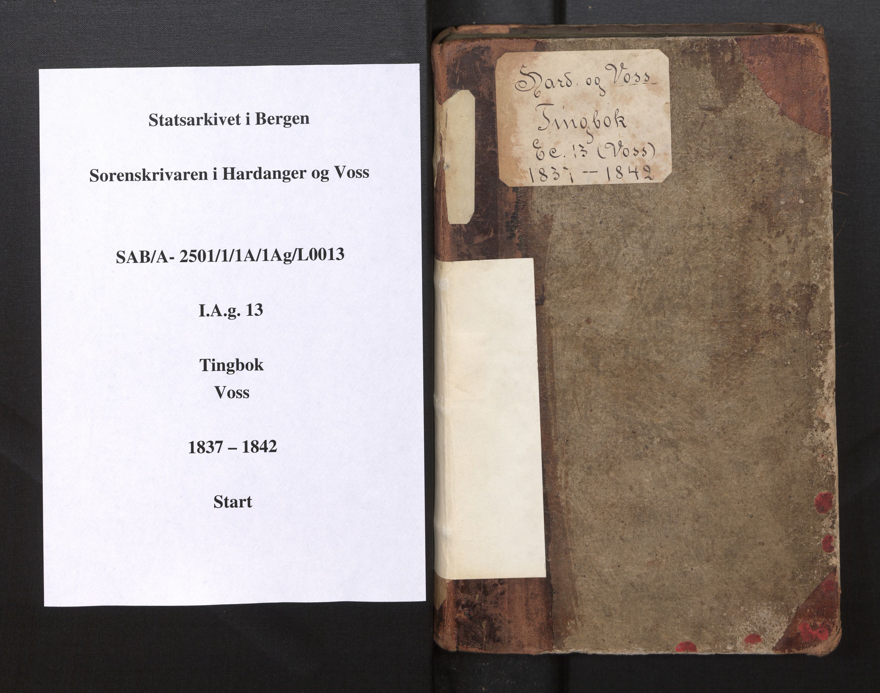 Hardanger og Voss sorenskriveri, SAB/A-2501/1/1A/1Ag/L0013: Tingbok for Voss, 1837-1842