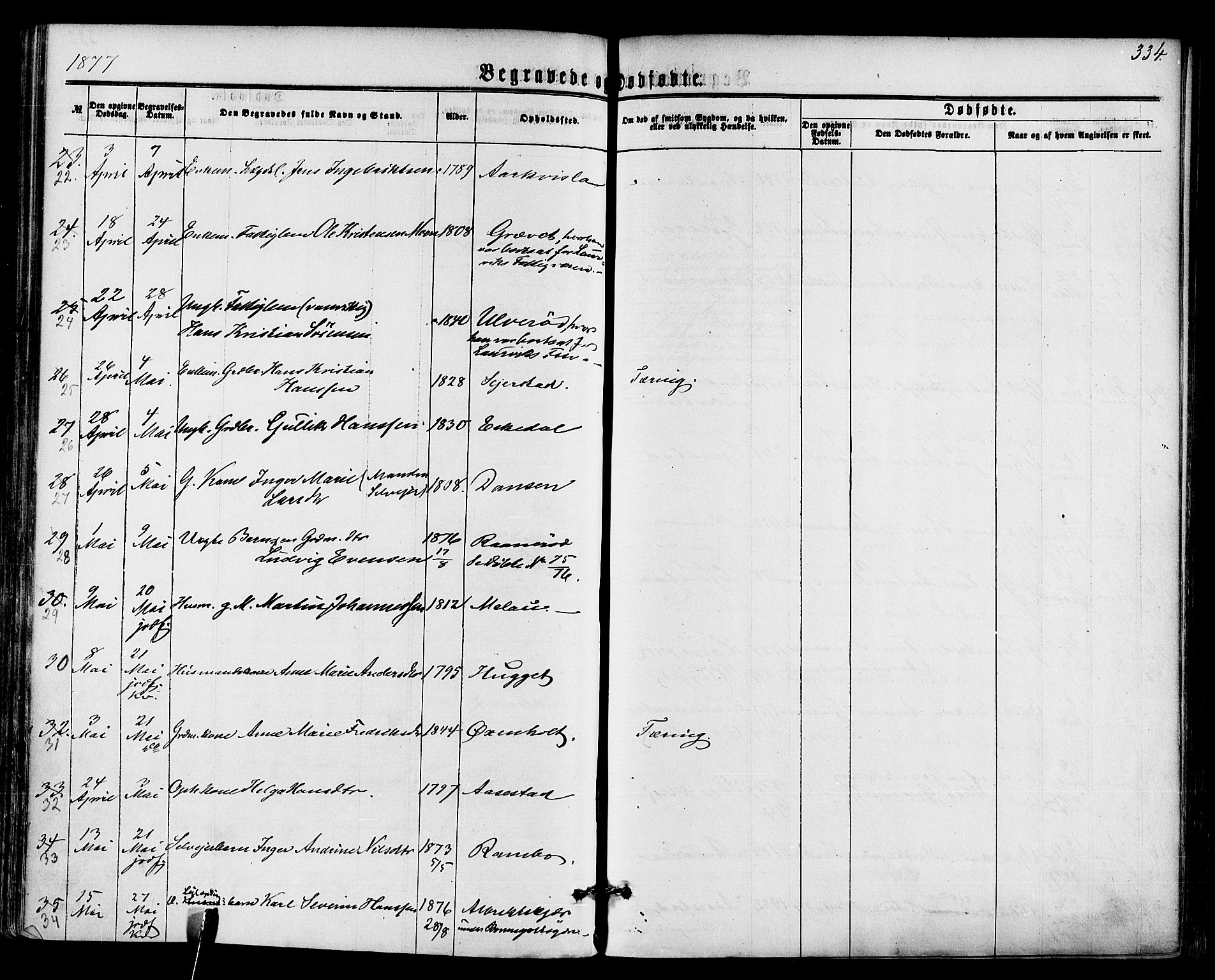 Hedrum kirkebøker, AV/SAKO-A-344/F/Fa/L0008: Ministerialbok nr. I 8, 1869-1880, s. 334