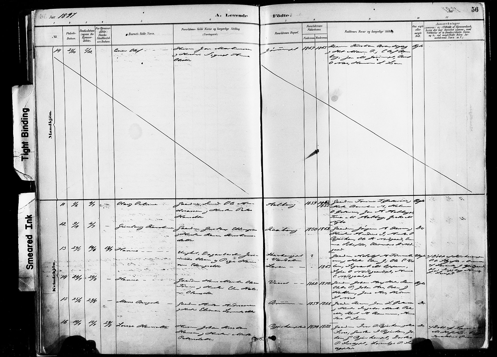Ministerialprotokoller, klokkerbøker og fødselsregistre - Nord-Trøndelag, SAT/A-1458/735/L0351: Ministerialbok nr. 735A10, 1884-1908, s. 56