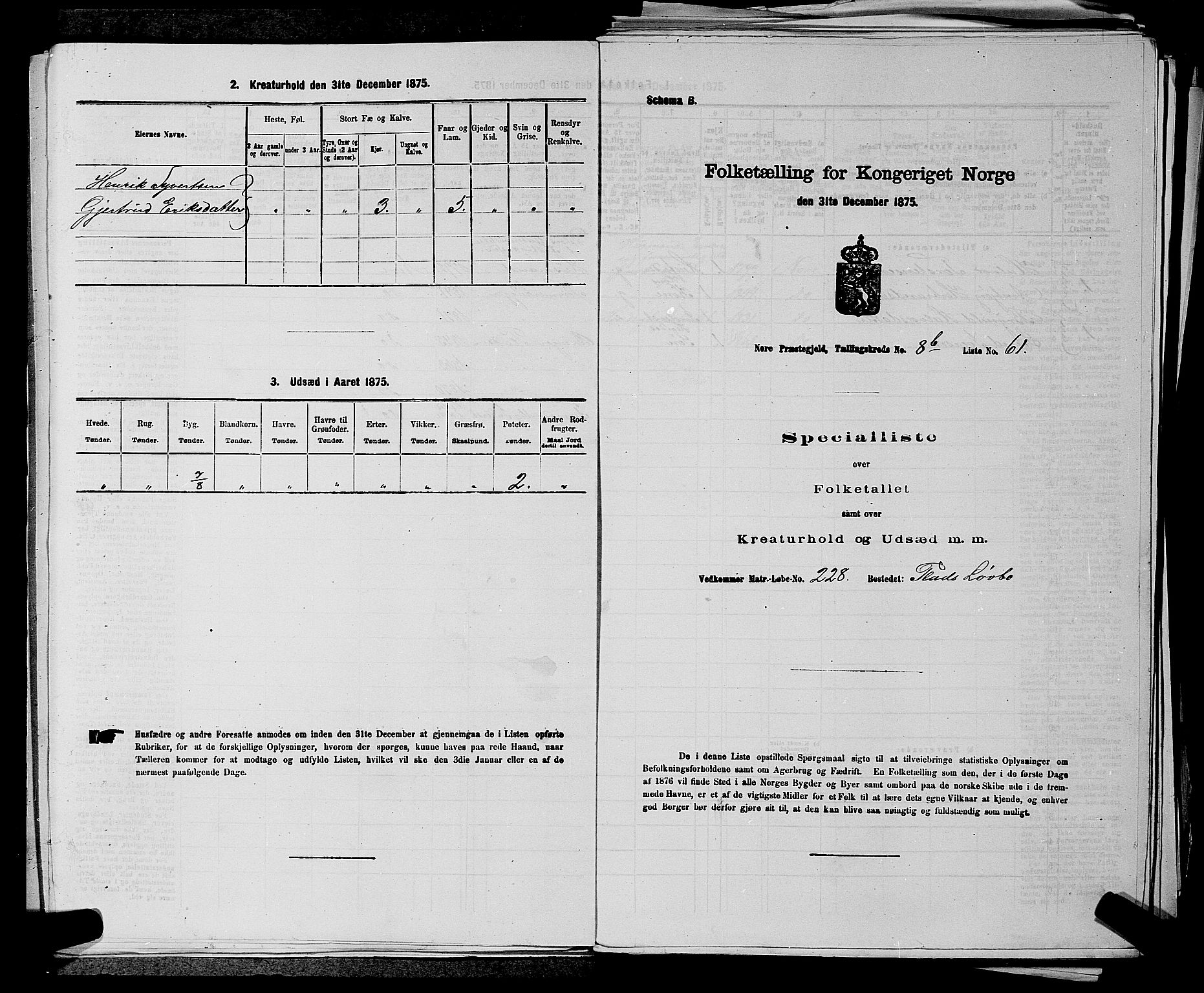 SAKO, Folketelling 1875 for 0633P Nore prestegjeld, 1875, s. 1015
