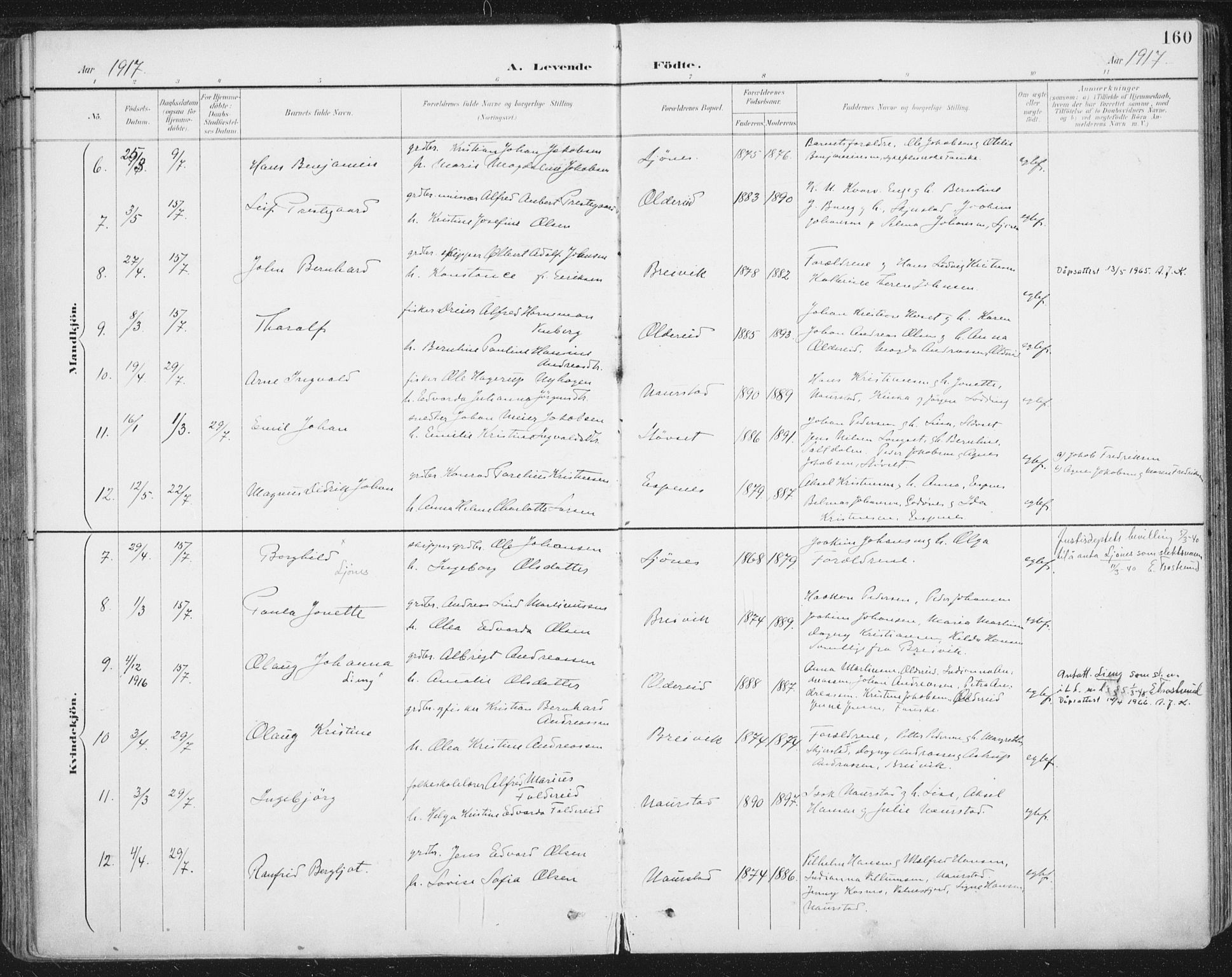 Ministerialprotokoller, klokkerbøker og fødselsregistre - Nordland, SAT/A-1459/852/L0741: Ministerialbok nr. 852A11, 1894-1917, s. 160