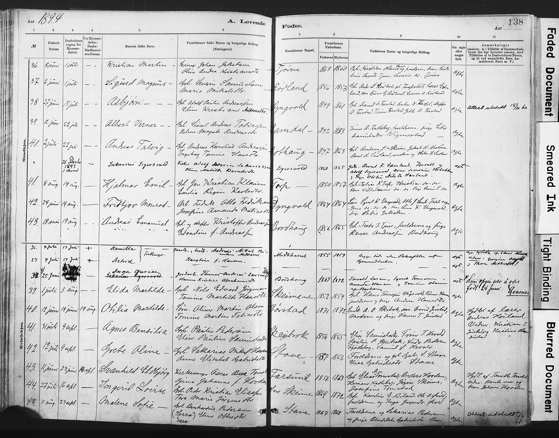 Lista sokneprestkontor, AV/SAK-1111-0027/F/Fa/L0012: Ministerialbok nr. A 12, 1879-1903, s. 138