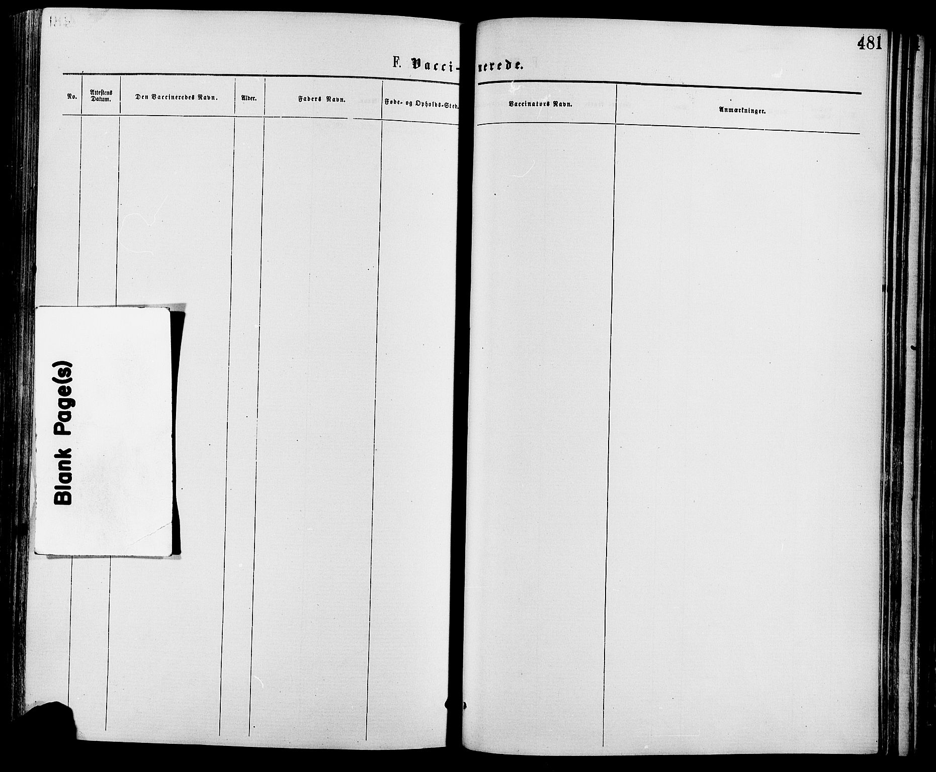 Nord-Fron prestekontor, AV/SAH-PREST-080/H/Ha/Haa/L0002: Ministerialbok nr. 2, 1865-1883, s. 481