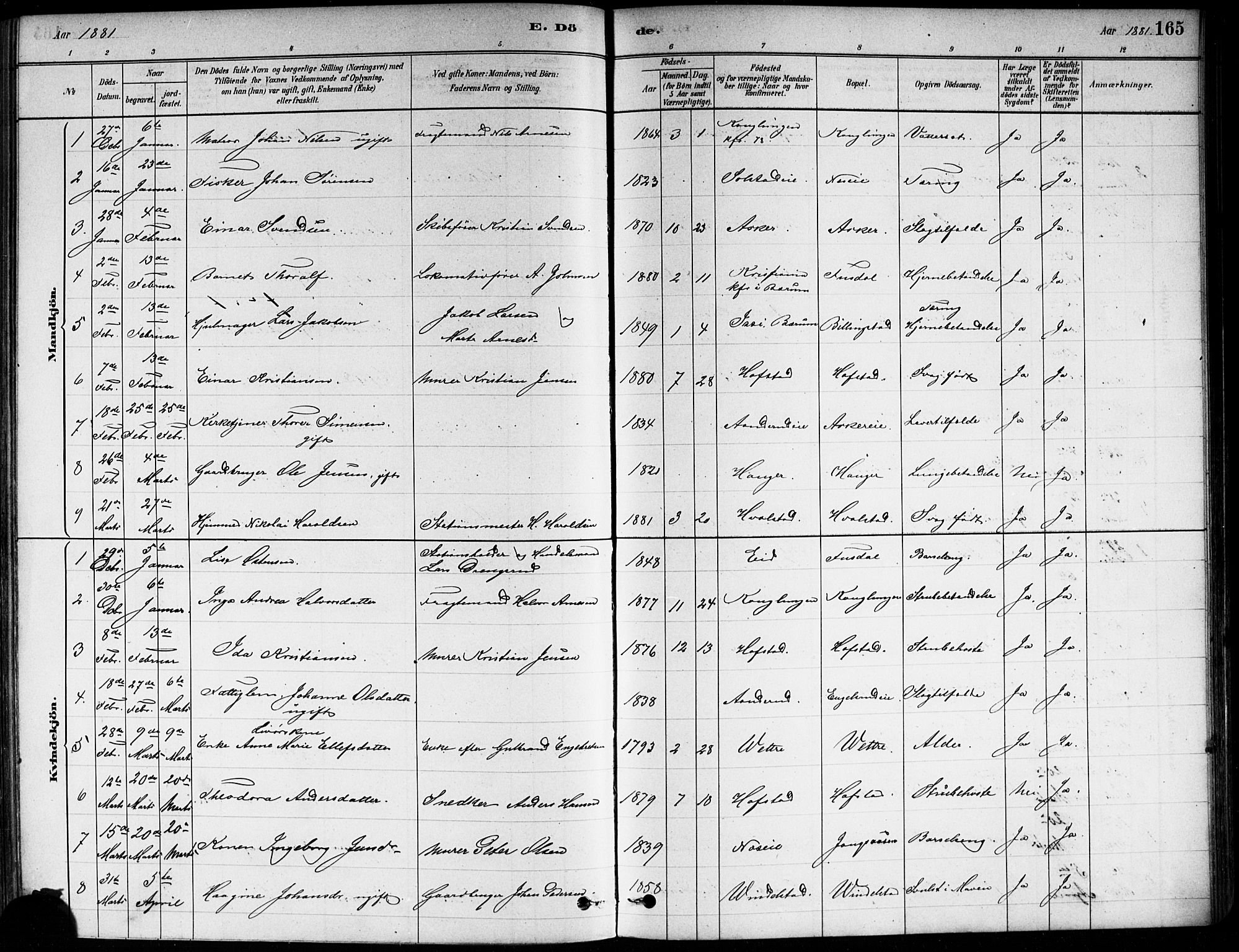 Asker prestekontor Kirkebøker, SAO/A-10256a/F/Fa/L0013: Ministerialbok nr. I 13, 1879-1896, s. 165