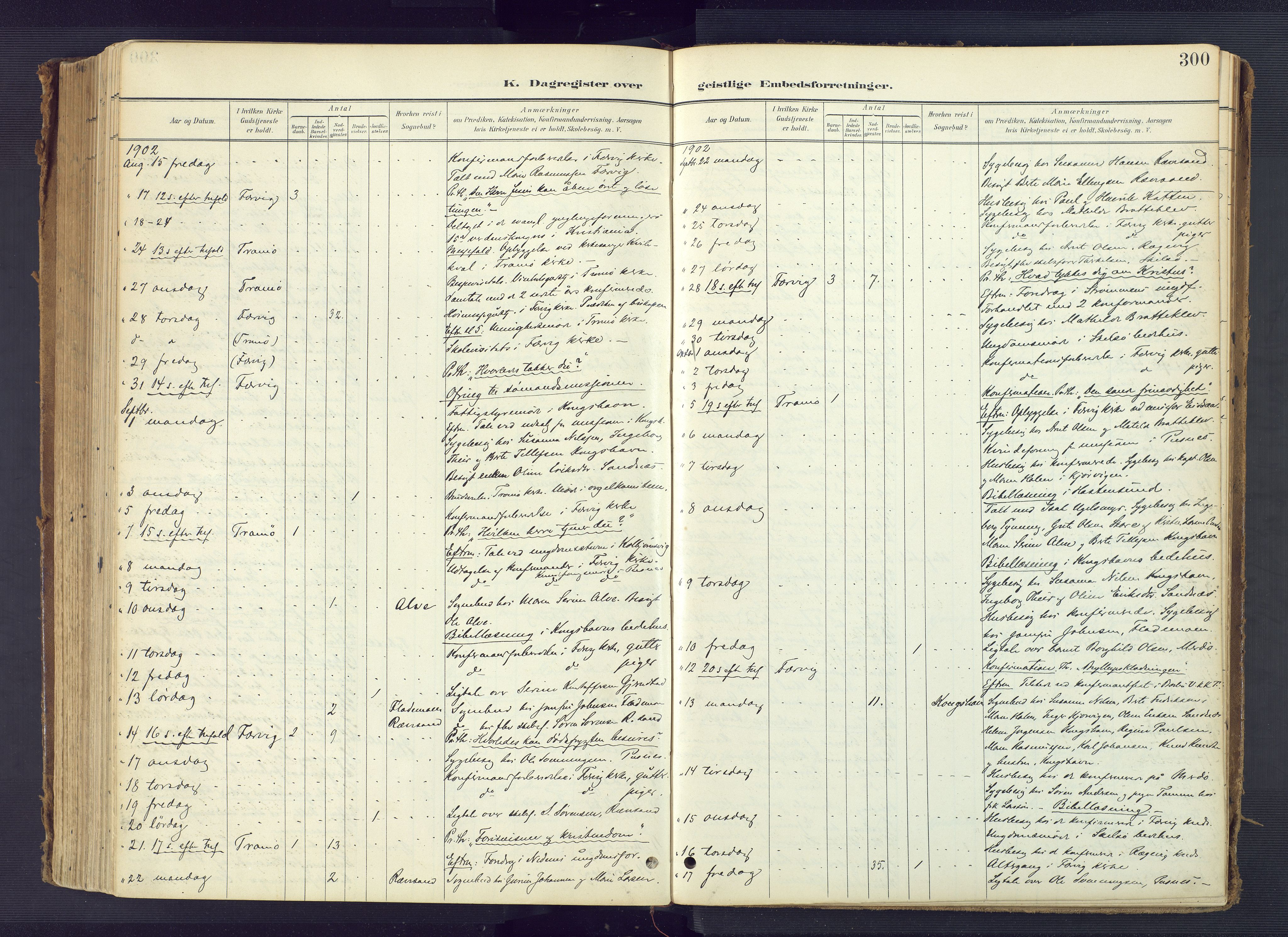 Tromøy sokneprestkontor, AV/SAK-1111-0041/F/Fa/L0010: Ministerialbok nr. A 10, 1896-1912, s. 300