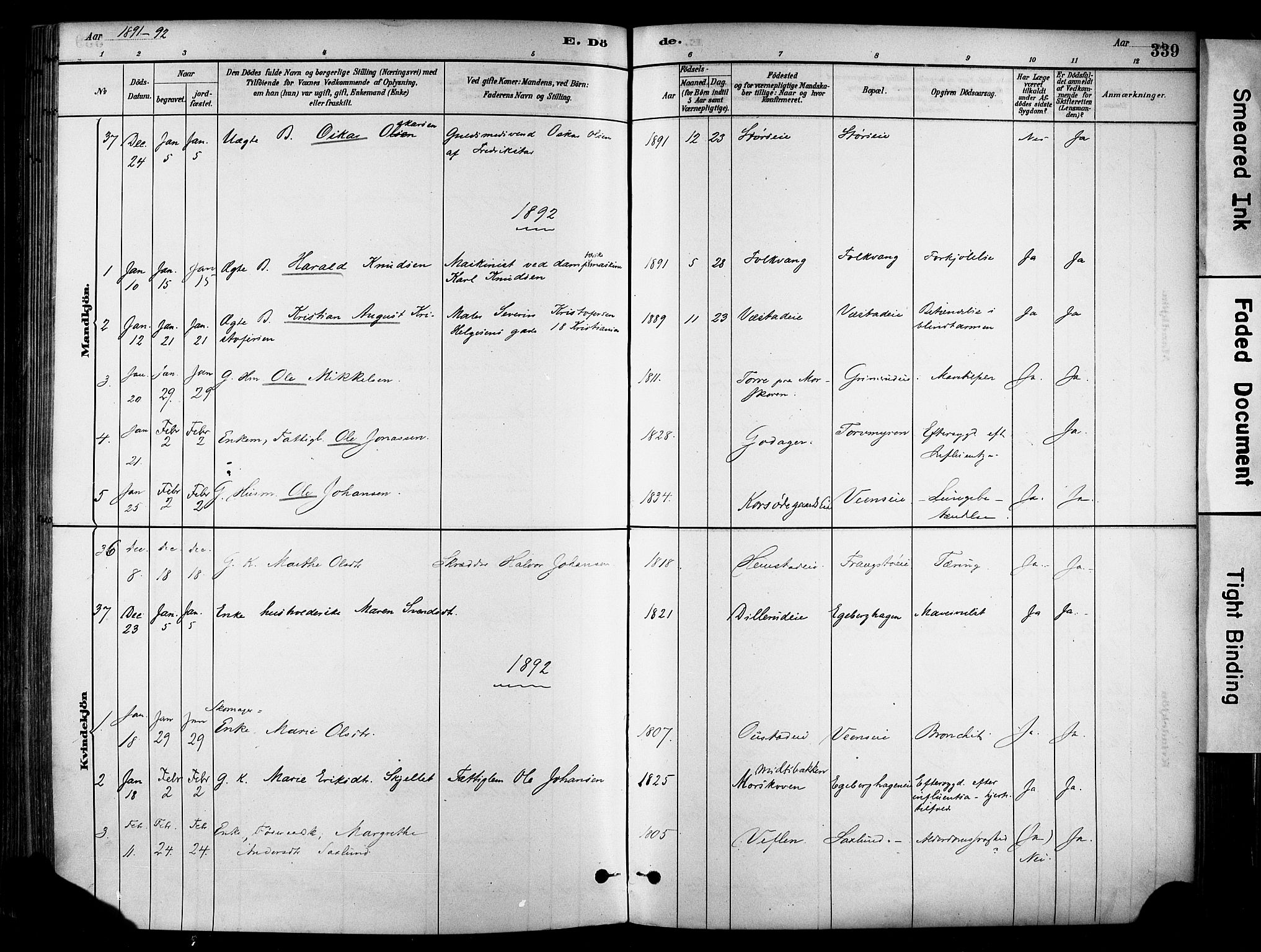 Stange prestekontor, SAH/PREST-002/K/L0017: Ministerialbok nr. 17, 1880-1893, s. 339