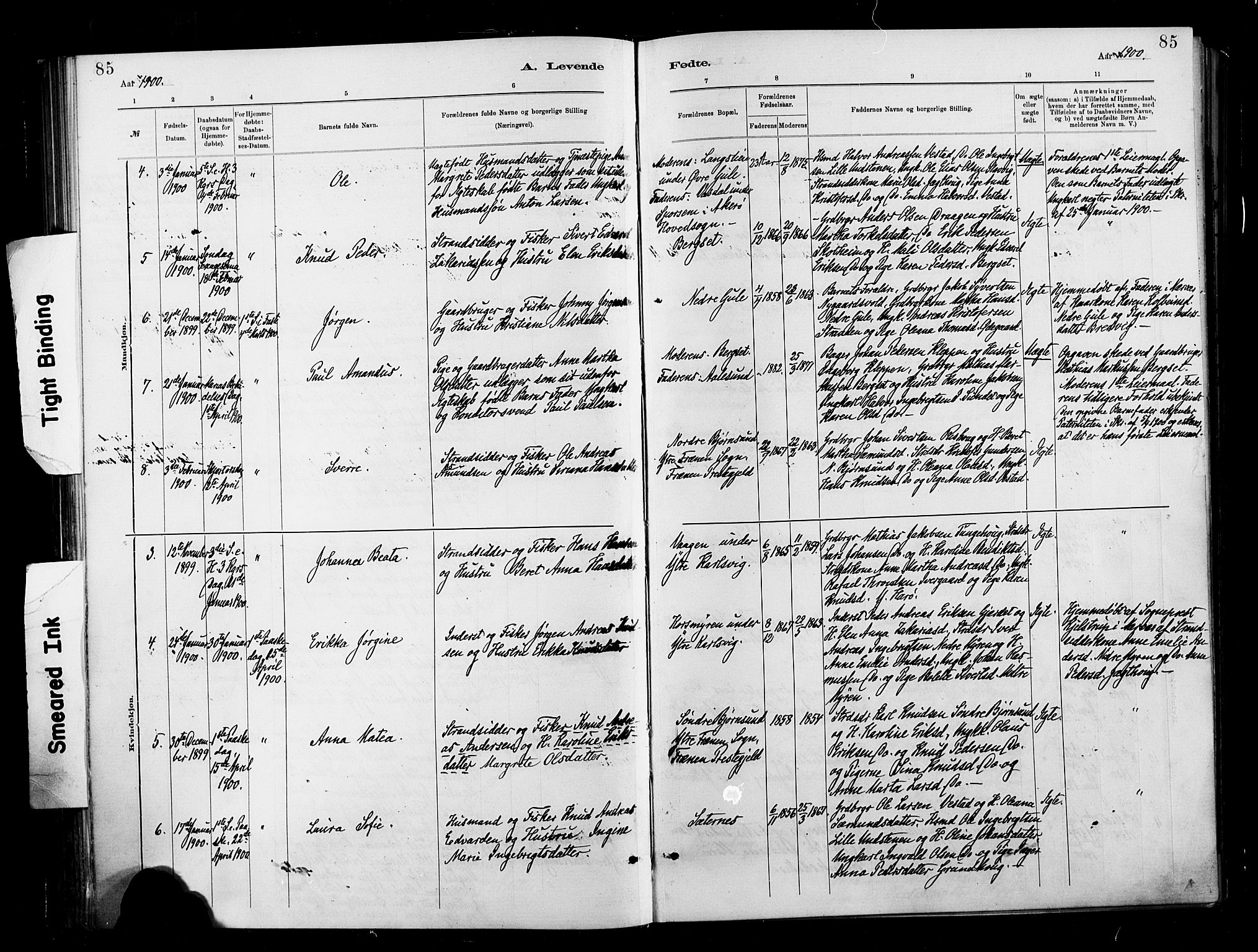 Ministerialprotokoller, klokkerbøker og fødselsregistre - Møre og Romsdal, AV/SAT-A-1454/566/L0769: Ministerialbok nr. 566A08, 1881-1903, s. 85