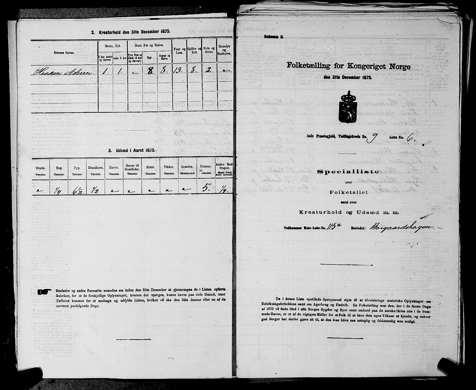 SAKO, Folketelling 1875 for 0619P Ål prestegjeld, 1875, s. 1102