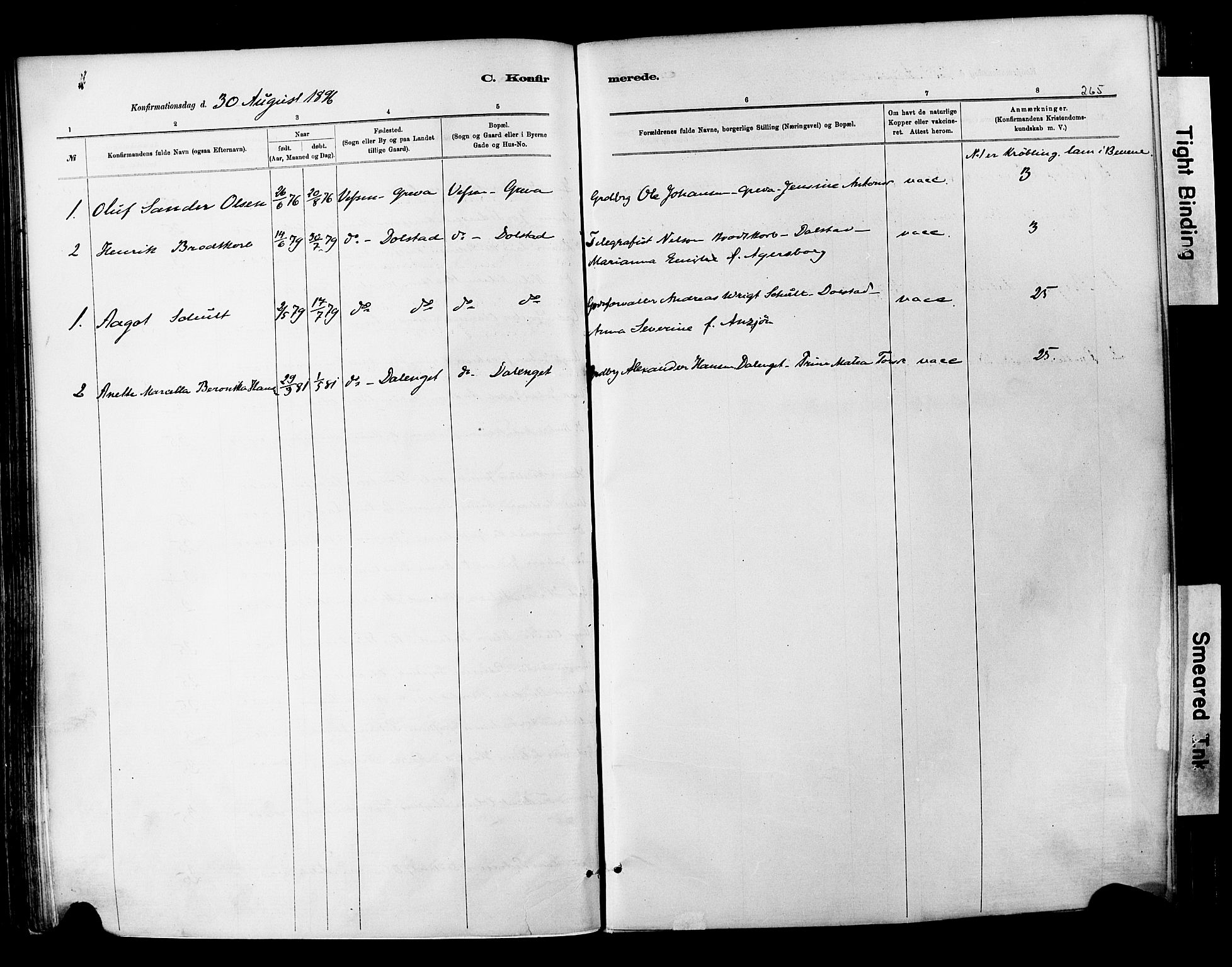 Ministerialprotokoller, klokkerbøker og fødselsregistre - Nordland, AV/SAT-A-1459/820/L0295: Ministerialbok nr. 820A16, 1880-1896, s. 265