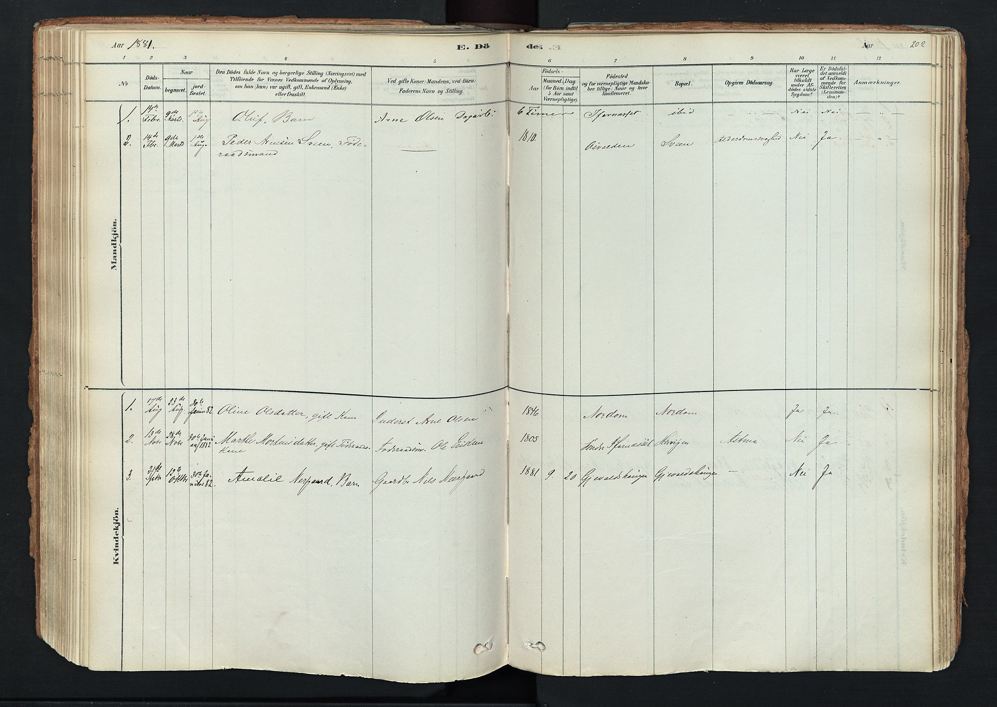 Trysil prestekontor, AV/SAH-PREST-046/H/Ha/Haa/L0011: Ministerialbok nr. 11, 1878-1912, s. 202