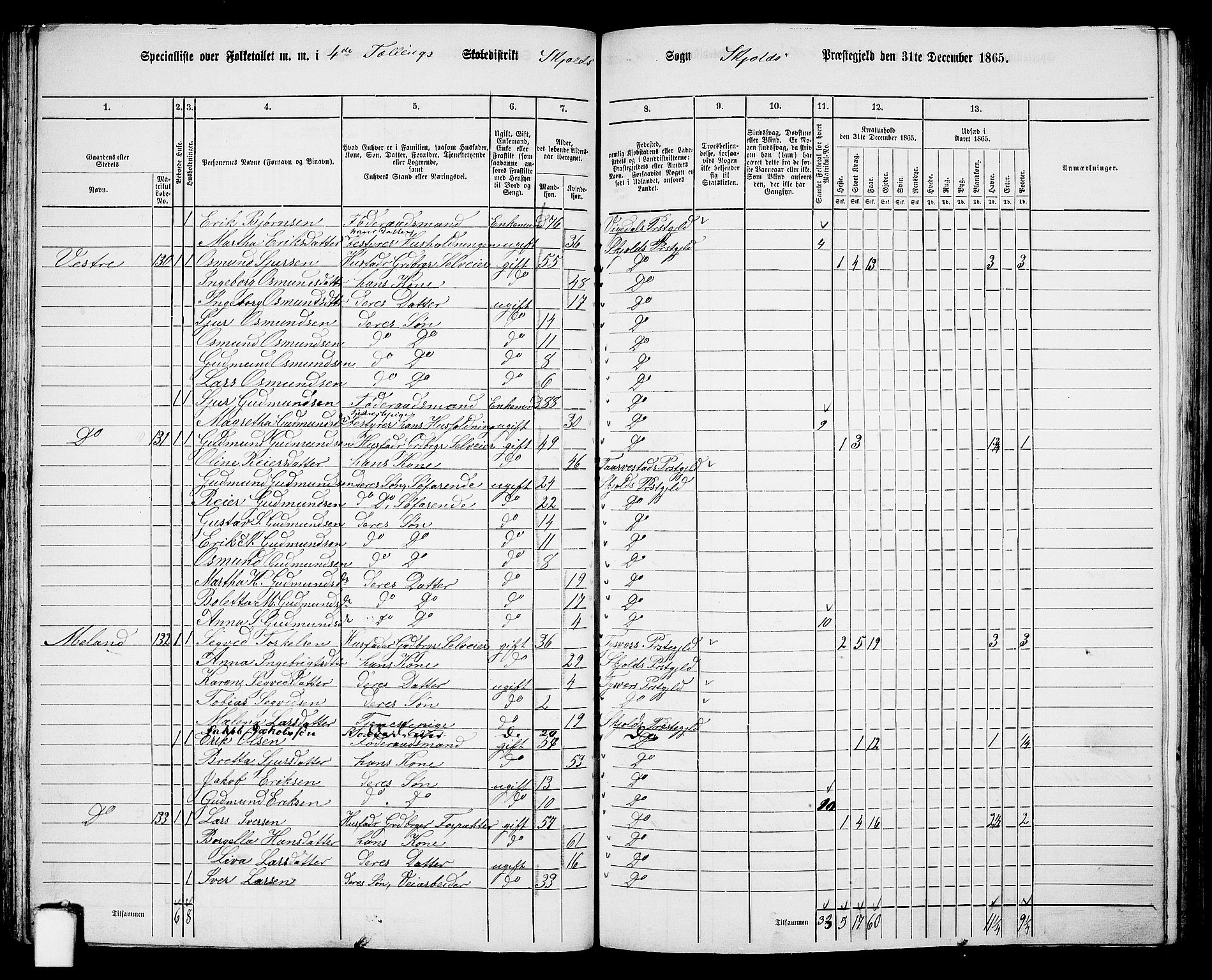 RA, Folketelling 1865 for 1154P Skjold prestegjeld, 1865, s. 60