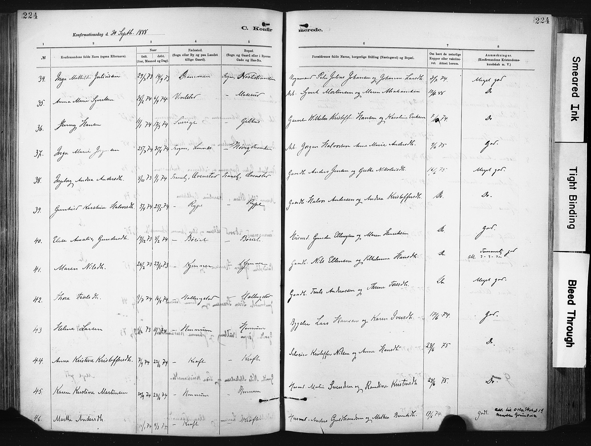 Lier kirkebøker, AV/SAKO-A-230/F/Fa/L0015: Ministerialbok nr. I 15, 1883-1894, s. 224
