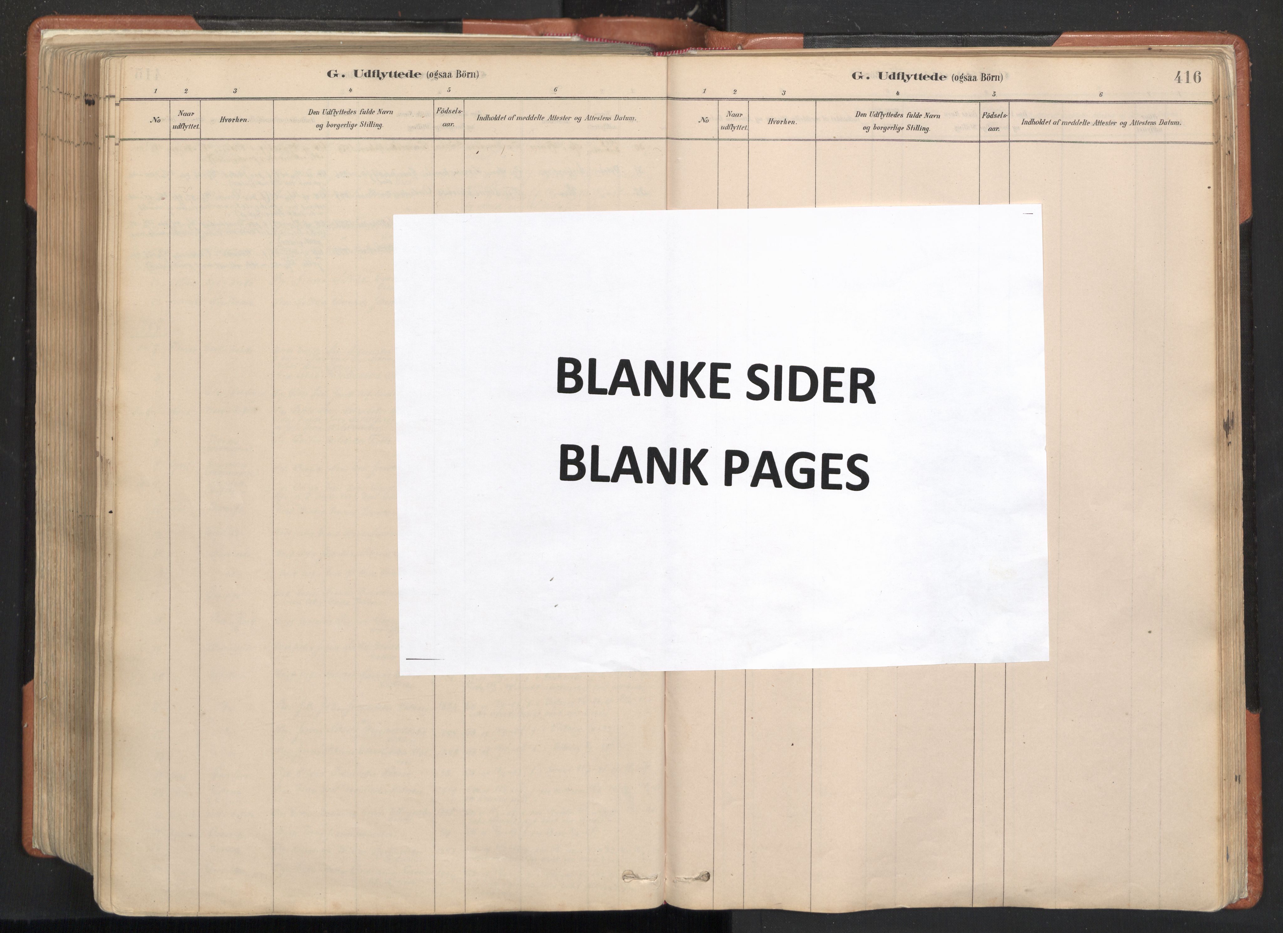 Ministerialprotokoller, klokkerbøker og fødselsregistre - Nordland, AV/SAT-A-1459/817/L0264: Ministerialbok nr. 817A04, 1878-1907, s. 416