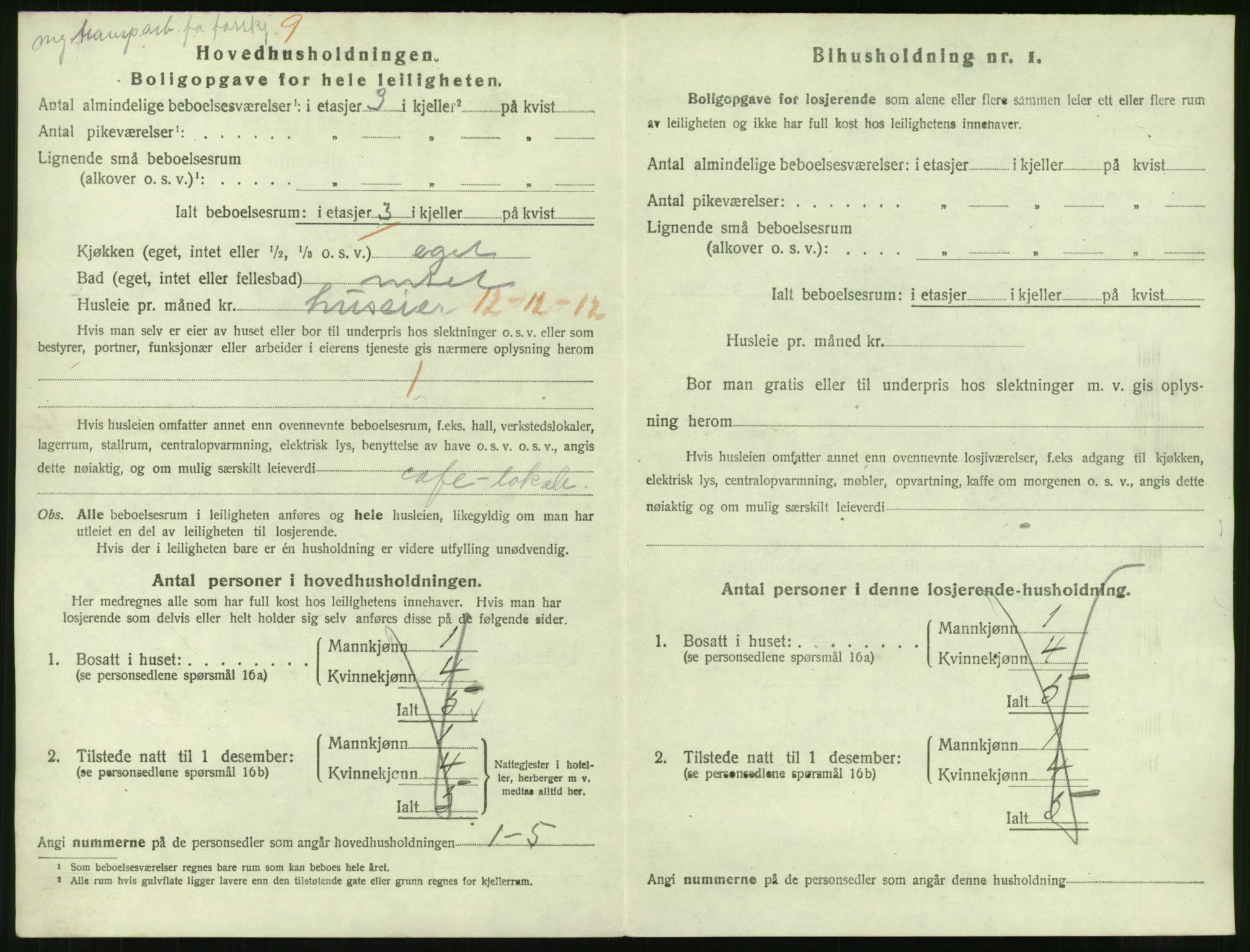 SAT, Folketelling 1920 for 1805 Narvik kjøpstad, 1920, s. 3985