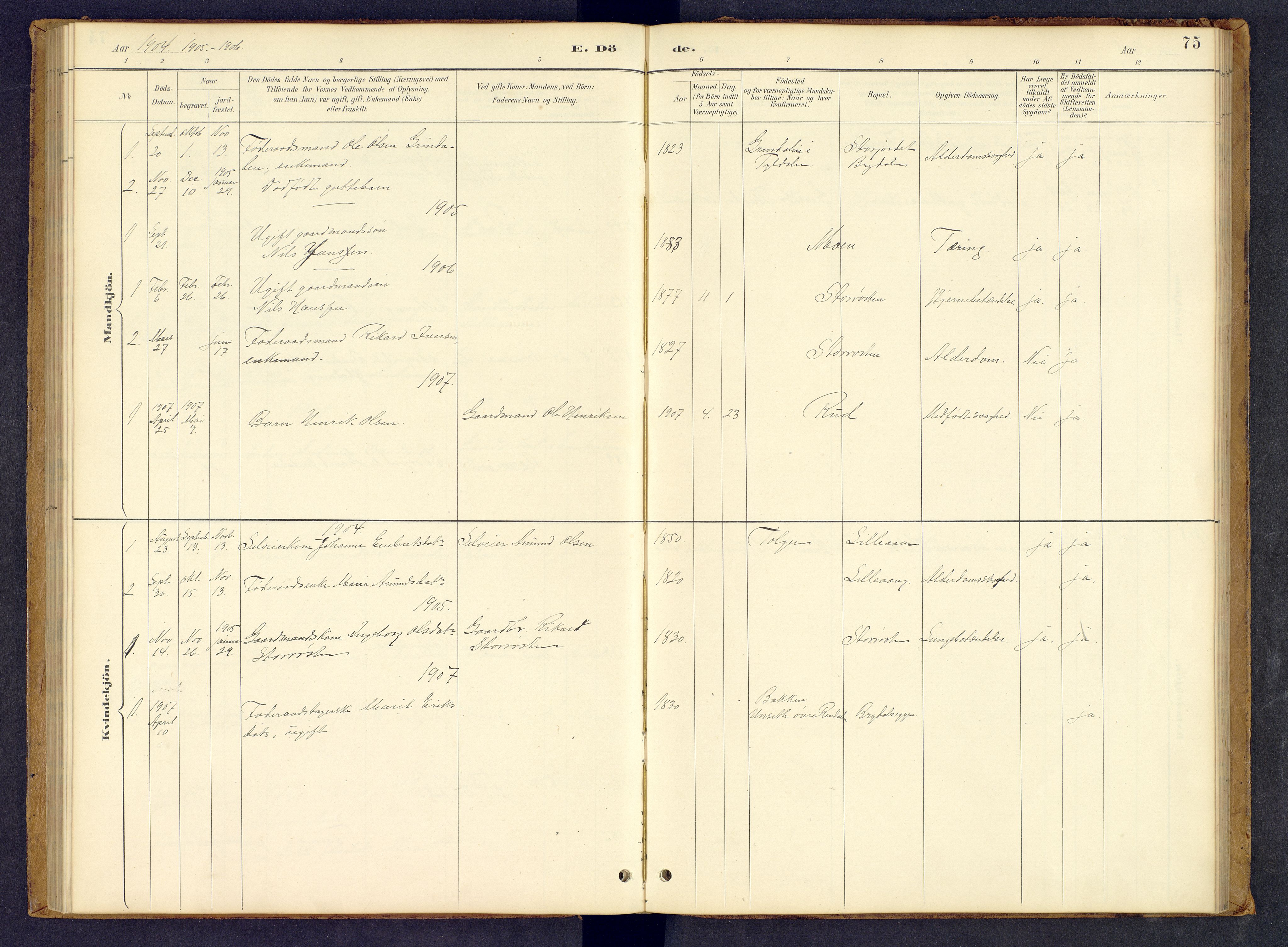 Tynset prestekontor, SAH/PREST-058/H/Ha/Hab/L0008: Klokkerbok nr. 8, 1884-1916, s. 75