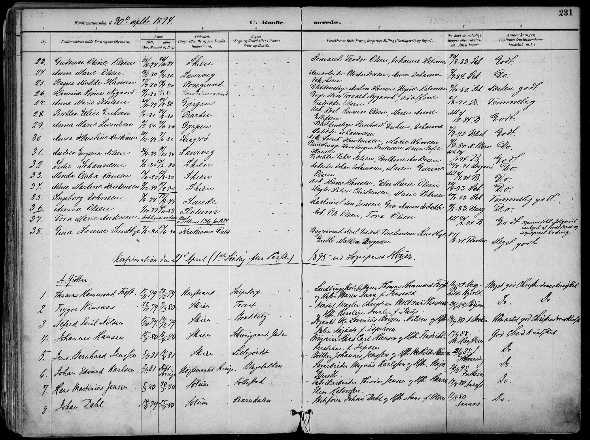 Skien kirkebøker, AV/SAKO-A-302/F/Fa/L0010: Ministerialbok nr. 10, 1891-1899, s. 231