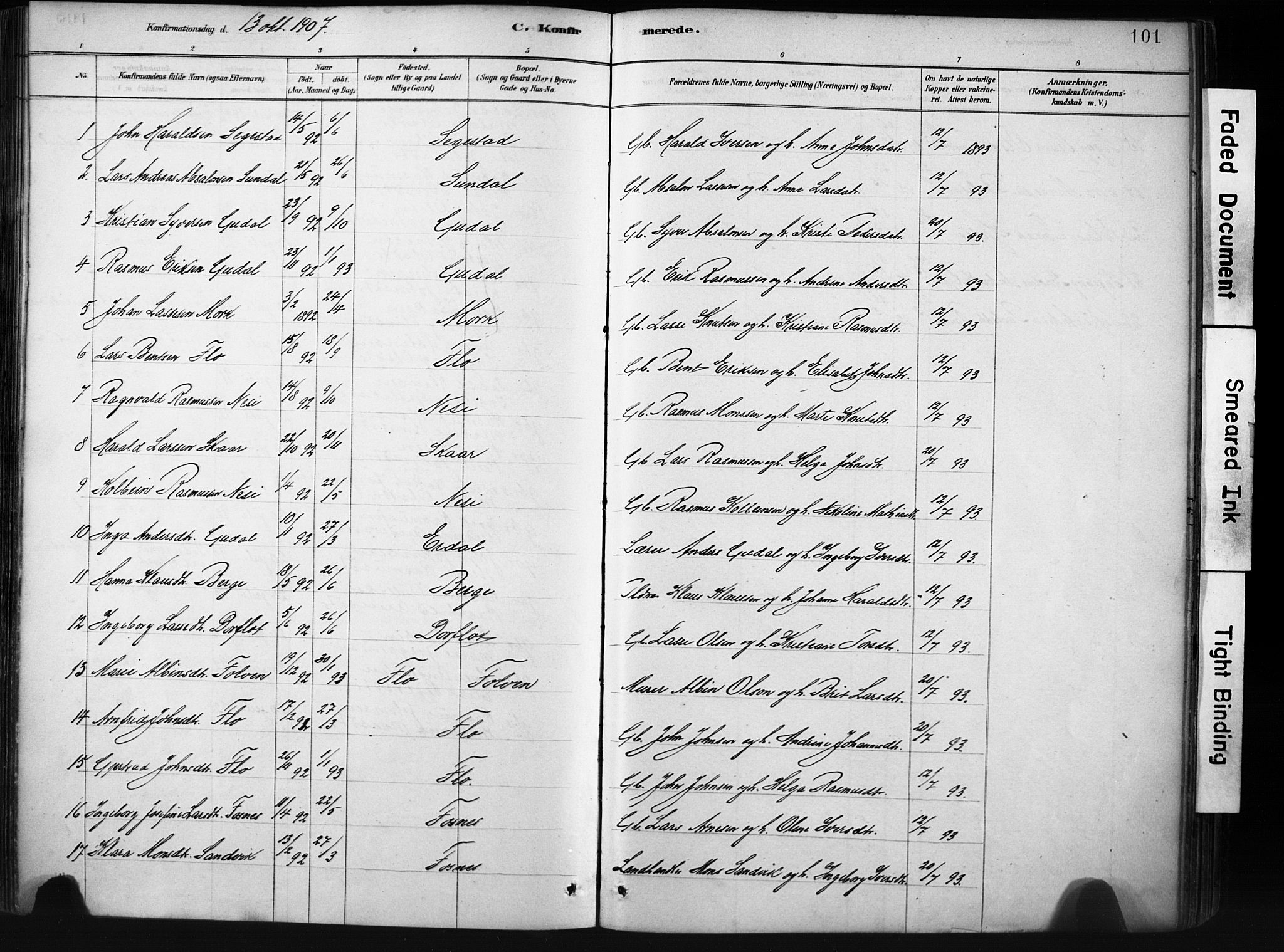 Stryn Sokneprestembete, SAB/A-82501: Ministerialbok nr. D 1, 1878-1907, s. 101