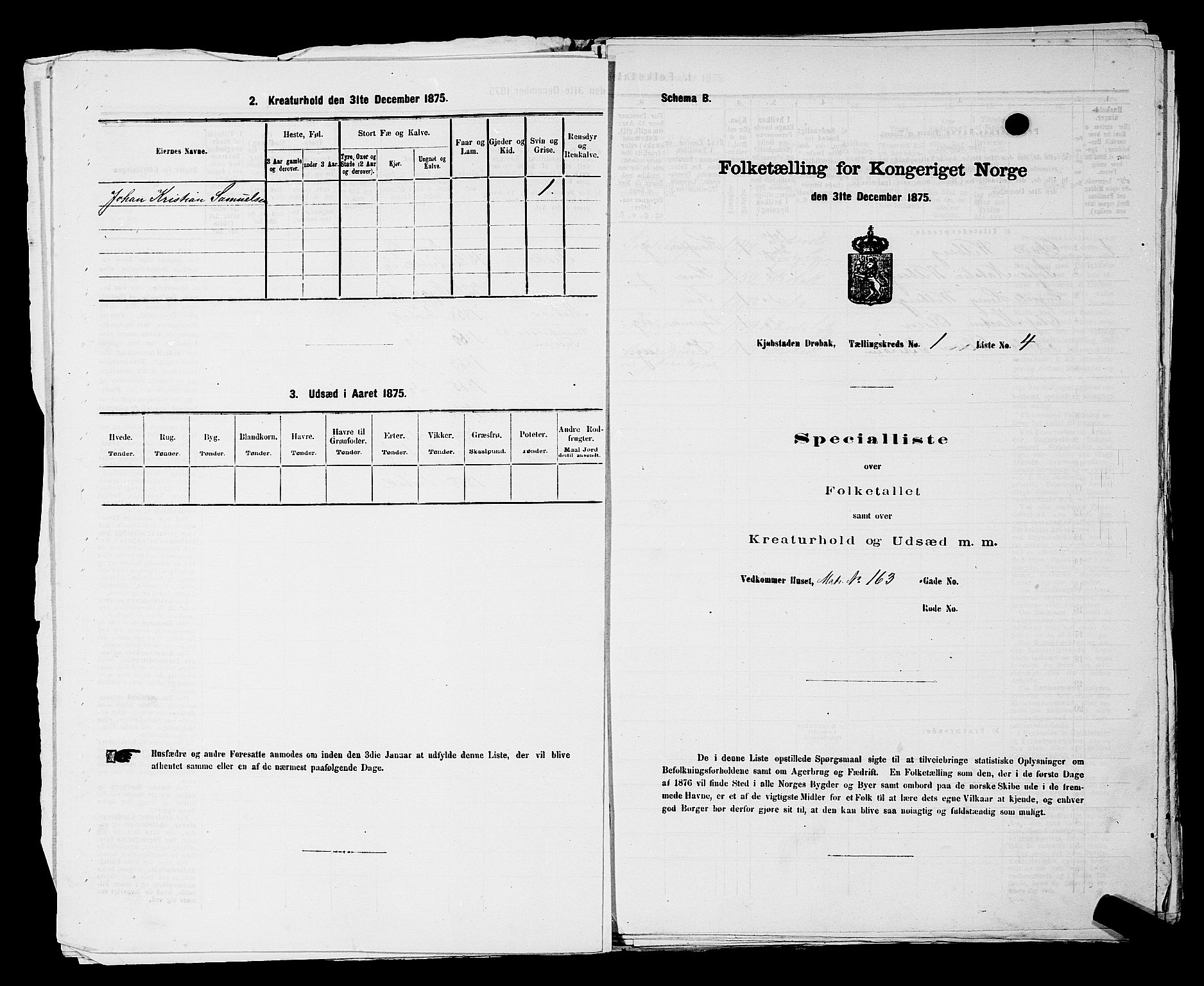 RA, Folketelling 1875 for 0203B Drøbak prestegjeld, Drøbak kjøpstad, 1875, s. 16