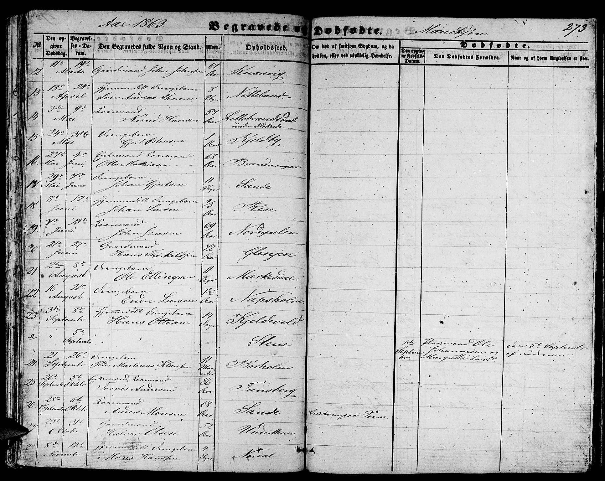 Gulen sokneprestembete, AV/SAB-A-80201/H/Hab/Habb/L0001: Klokkerbok nr. B 1, 1854-1866, s. 273