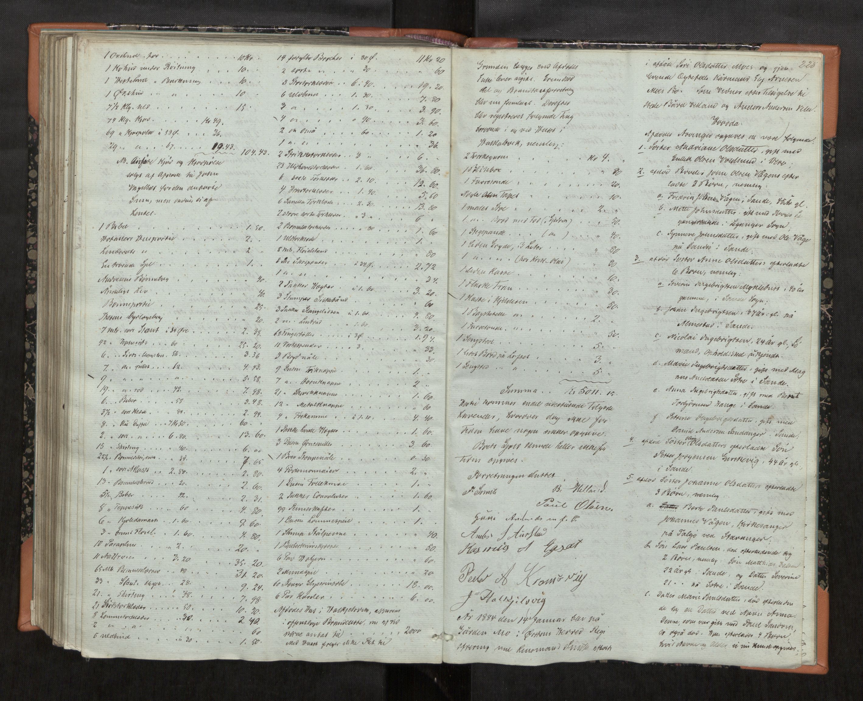 Søre Sunnmøre sorenskriveri, AV/SAT-A-4122/1/3/3C/L0001: Skifteregistreringsprotokollar, 1847-1885, s. 228