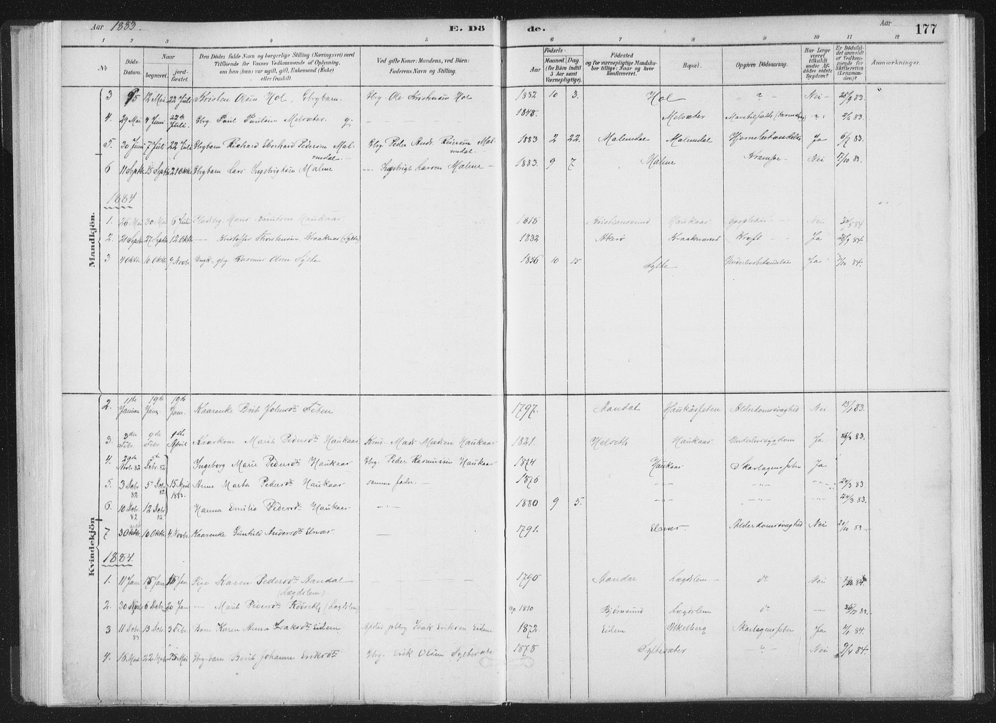 Ministerialprotokoller, klokkerbøker og fødselsregistre - Møre og Romsdal, SAT/A-1454/564/L0740: Ministerialbok nr. 564A01, 1880-1899, s. 177