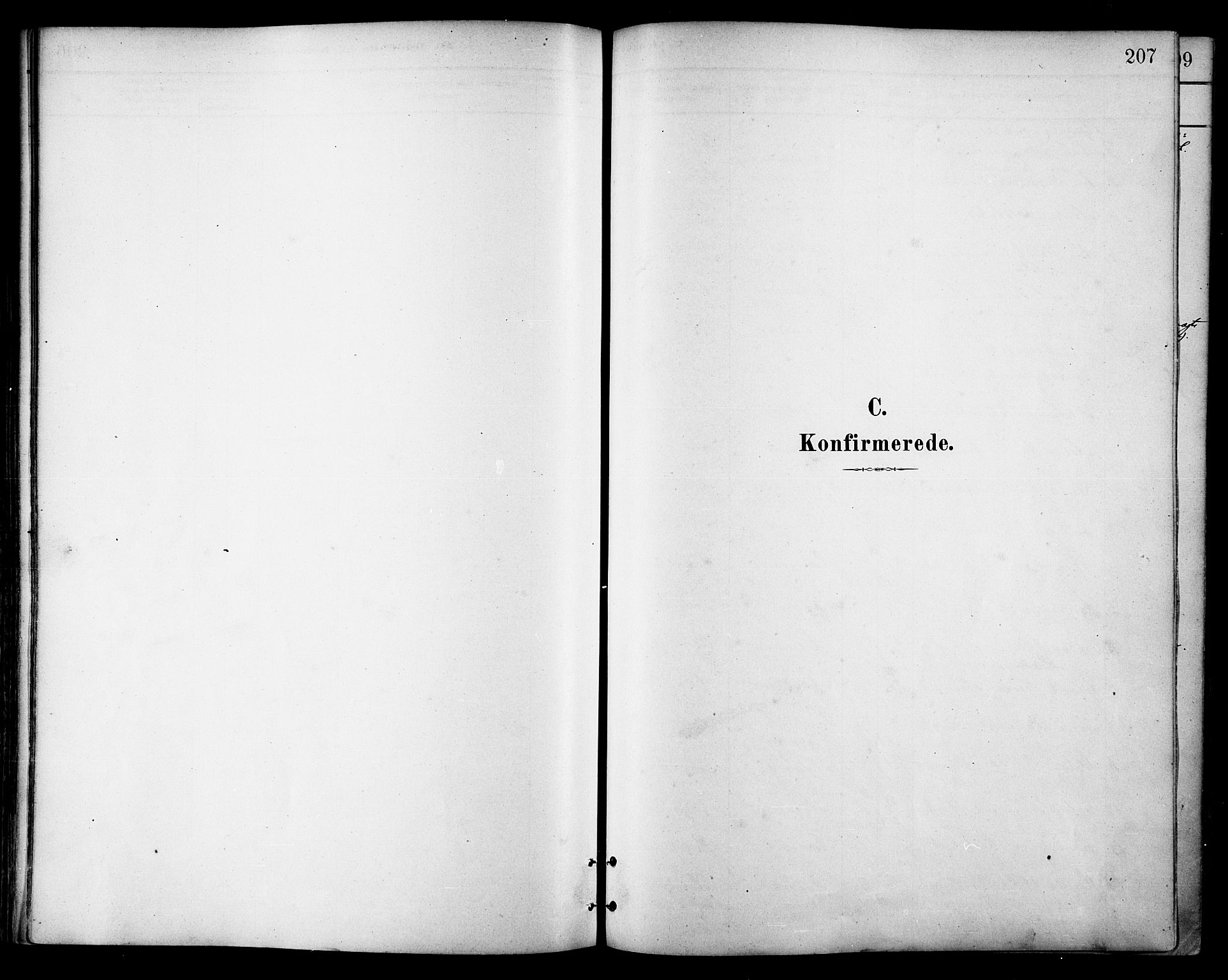 Ministerialprotokoller, klokkerbøker og fødselsregistre - Nordland, AV/SAT-A-1459/866/L0938: Ministerialbok nr. 866A01, 1879-1893, s. 207
