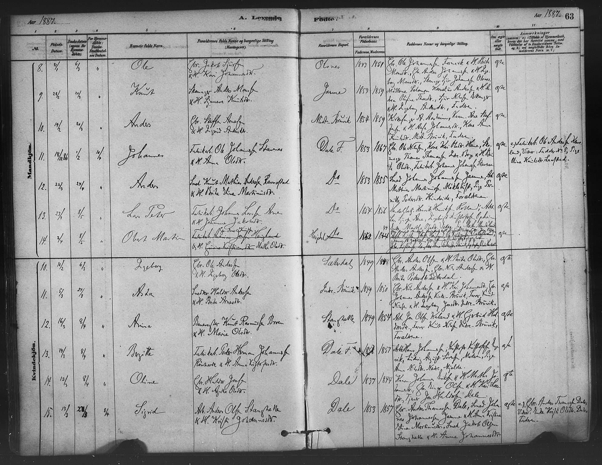 Bruvik Sokneprestembete, AV/SAB-A-74701/H/Haa: Ministerialbok nr. B 1, 1878-1904, s. 63