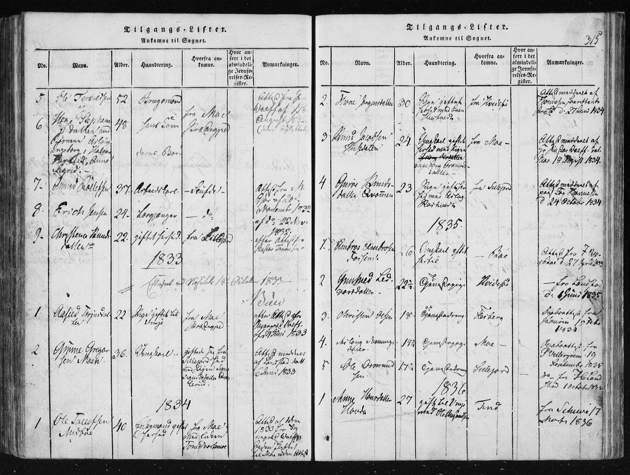 Vinje kirkebøker, AV/SAKO-A-312/F/Fa/L0003: Ministerialbok nr. I 3, 1814-1843, s. 315