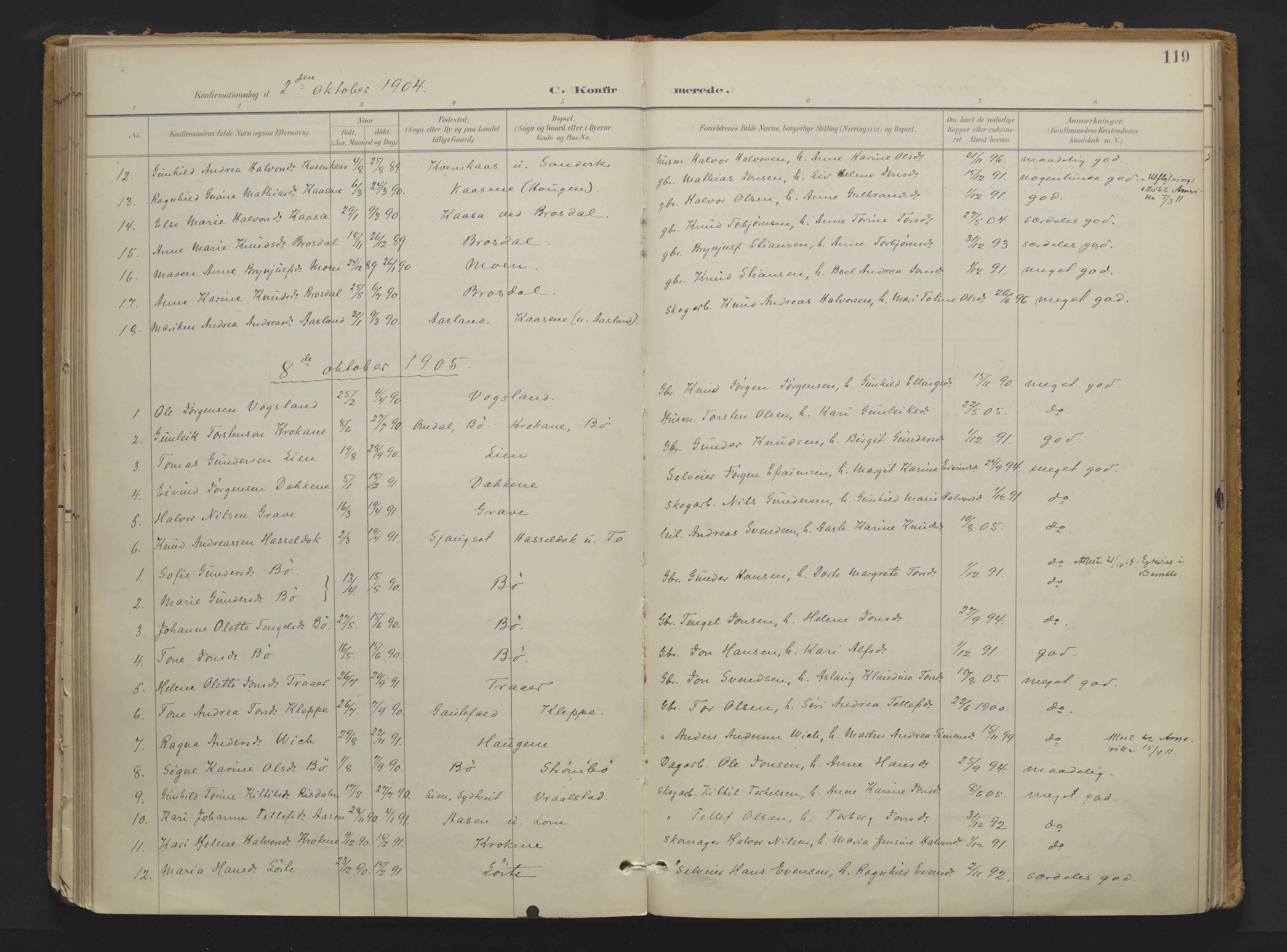 Drangedal kirkebøker, SAKO/A-258/F/Fa/L0013: Ministerialbok nr. 13, 1895-1919, s. 119