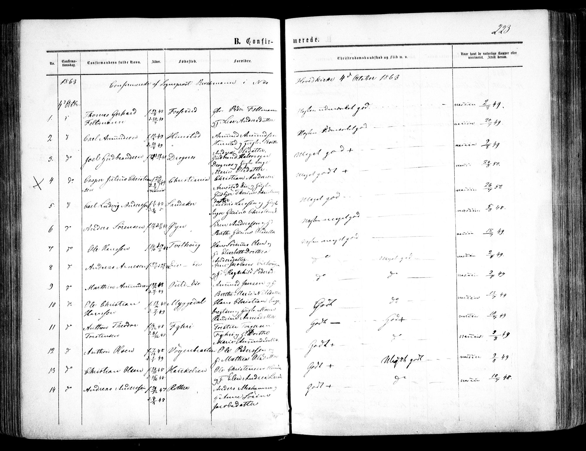 Nes prestekontor Kirkebøker, SAO/A-10410/F/Fa/L0008: Ministerialbok nr. I 8, 1859-1874, s. 223