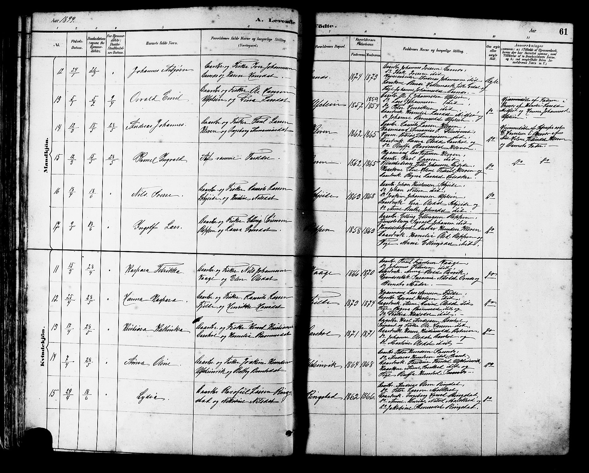 Ministerialprotokoller, klokkerbøker og fødselsregistre - Møre og Romsdal, AV/SAT-A-1454/509/L0112: Klokkerbok nr. 509C02, 1883-1922, s. 61