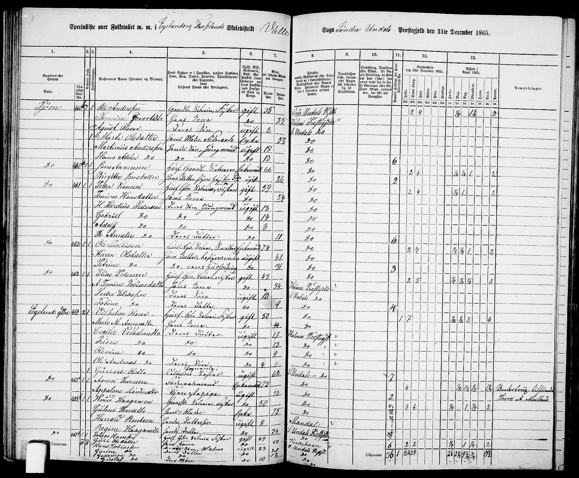 RA, Folketelling 1865 for 1029P Sør-Audnedal prestegjeld, 1865, s. 72