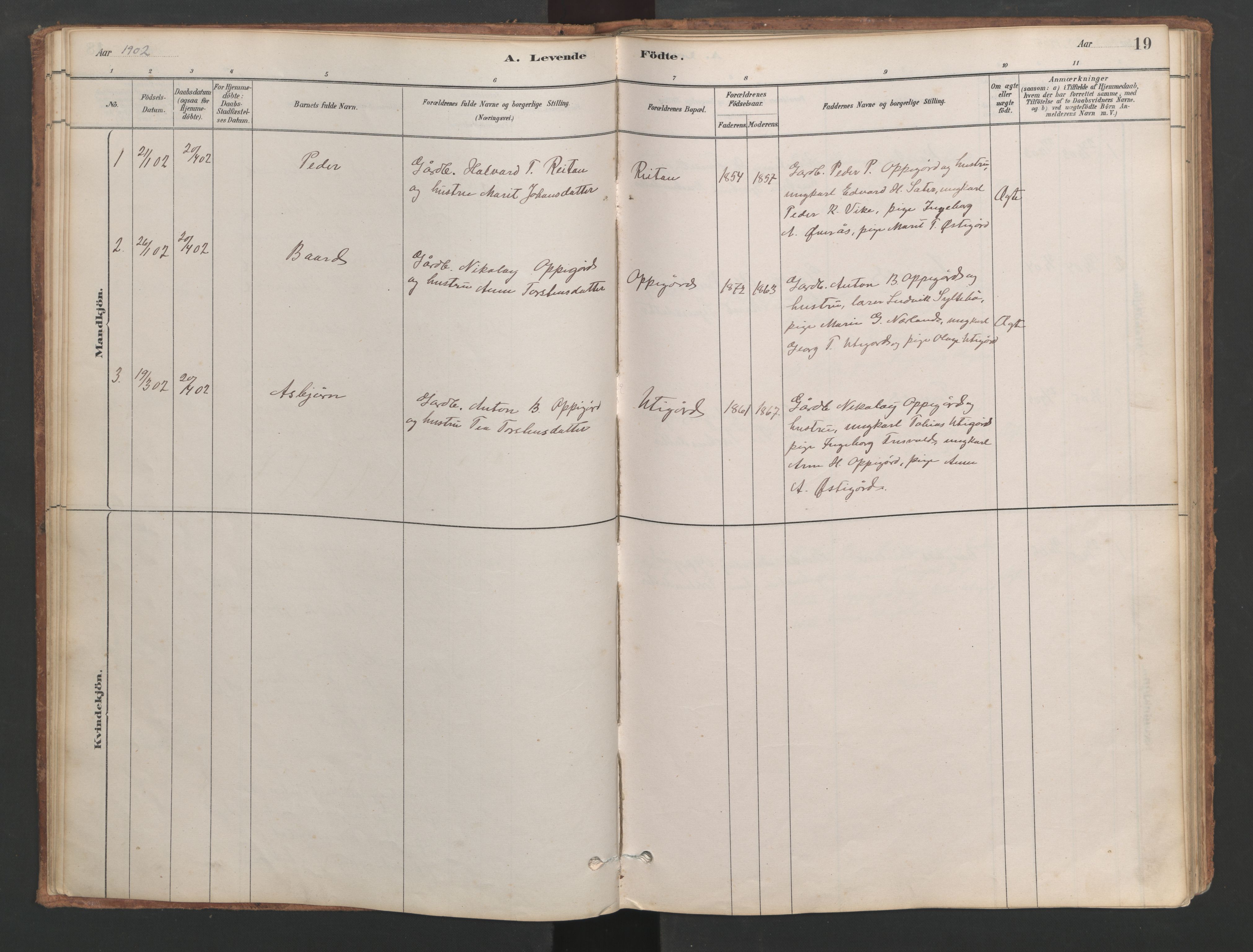 Ministerialprotokoller, klokkerbøker og fødselsregistre - Møre og Romsdal, AV/SAT-A-1454/553/L0642: Klokkerbok nr. 553C01, 1880-1968, s. 19