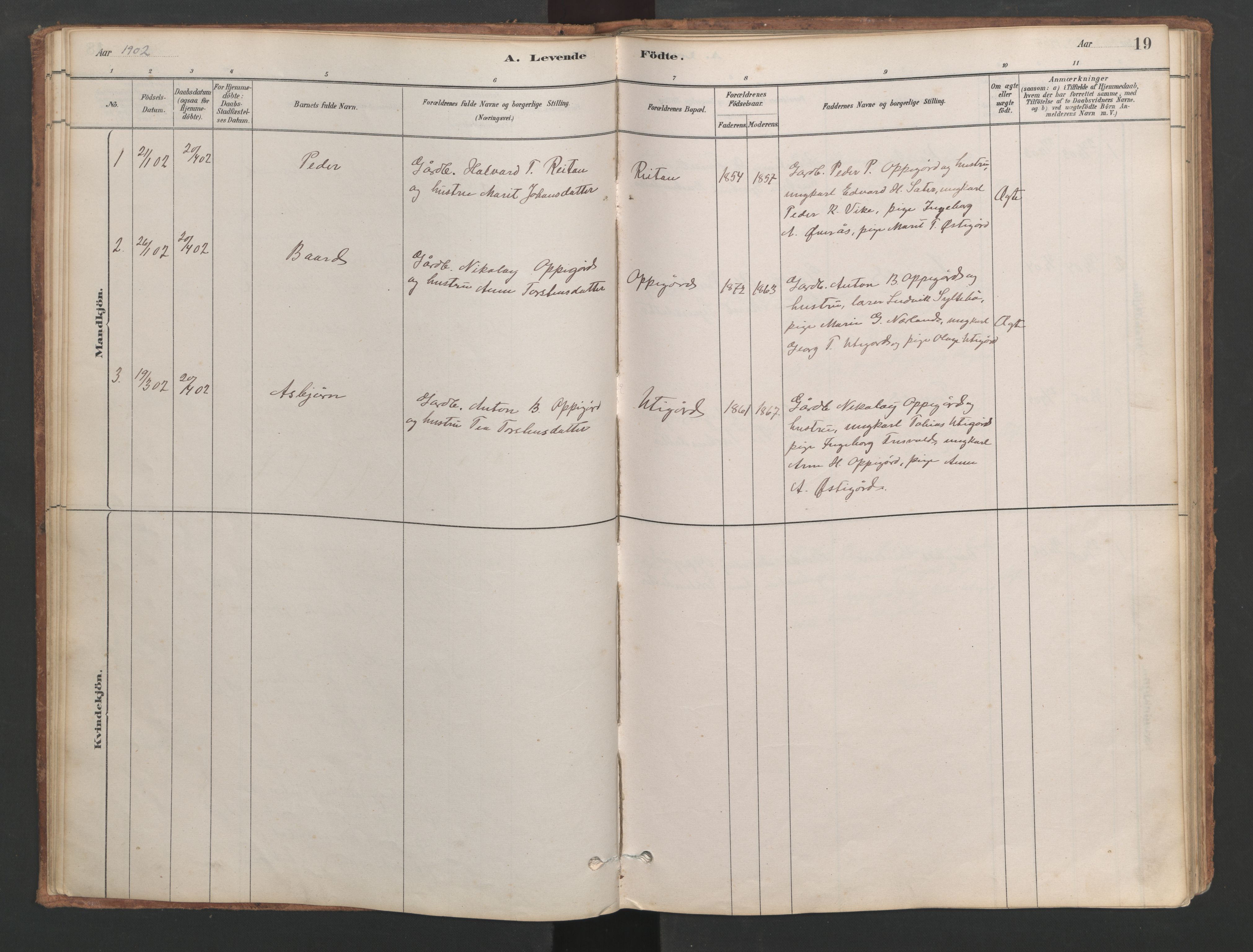 Ministerialprotokoller, klokkerbøker og fødselsregistre - Møre og Romsdal, SAT/A-1454/553/L0642: Klokkerbok nr. 553C01, 1880-1968, s. 19