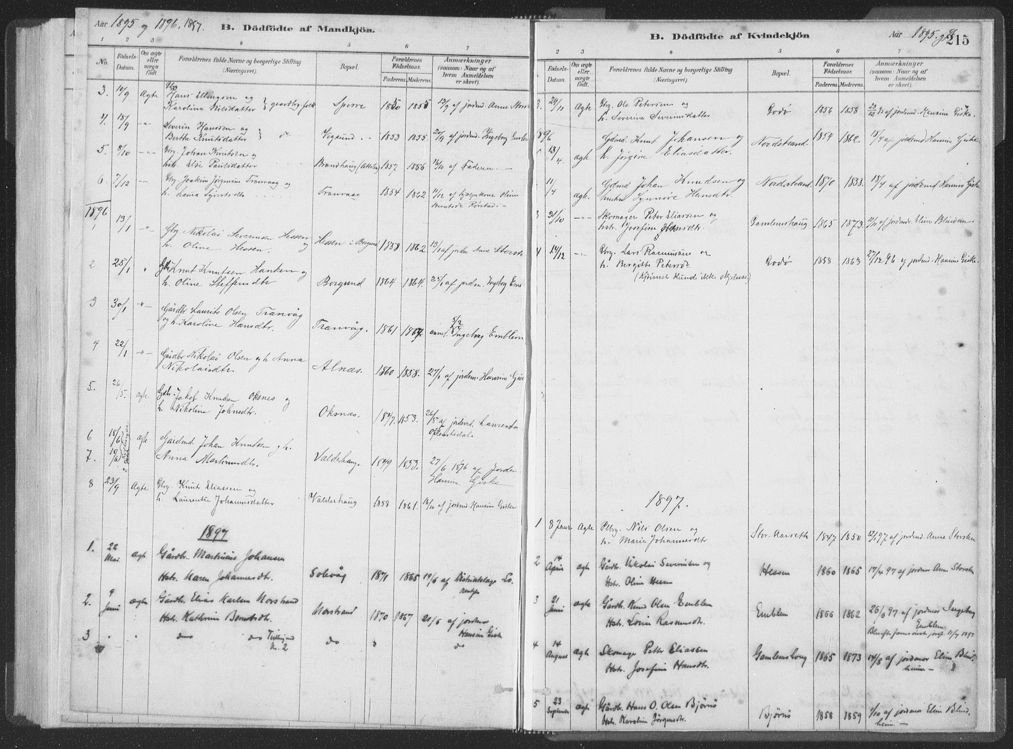 Ministerialprotokoller, klokkerbøker og fødselsregistre - Møre og Romsdal, SAT/A-1454/528/L0401: Ministerialbok nr. 528A12I, 1880-1920, s. 215