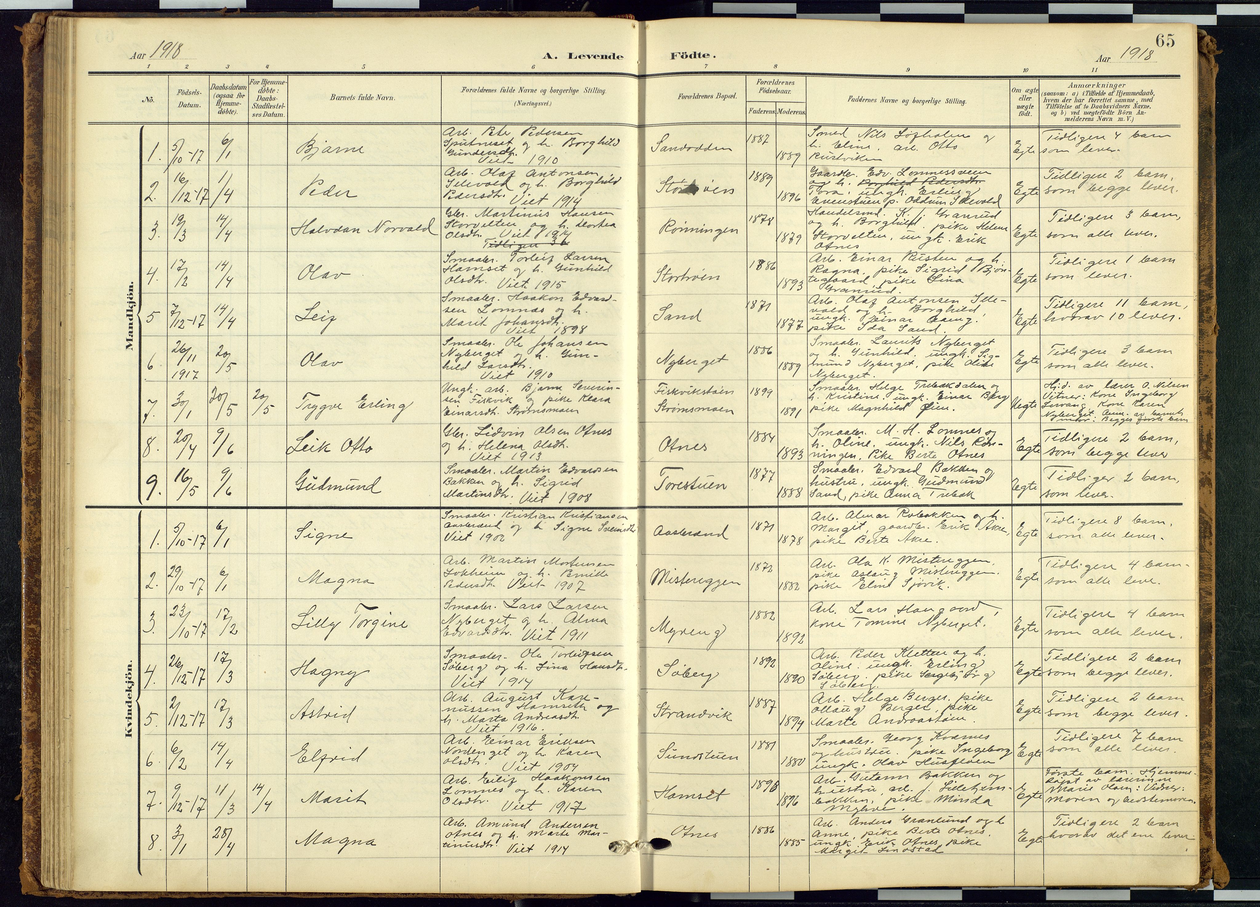 Rendalen prestekontor, AV/SAH-PREST-054/H/Ha/Hab/L0010: Klokkerbok nr. 10, 1903-1940, s. 65