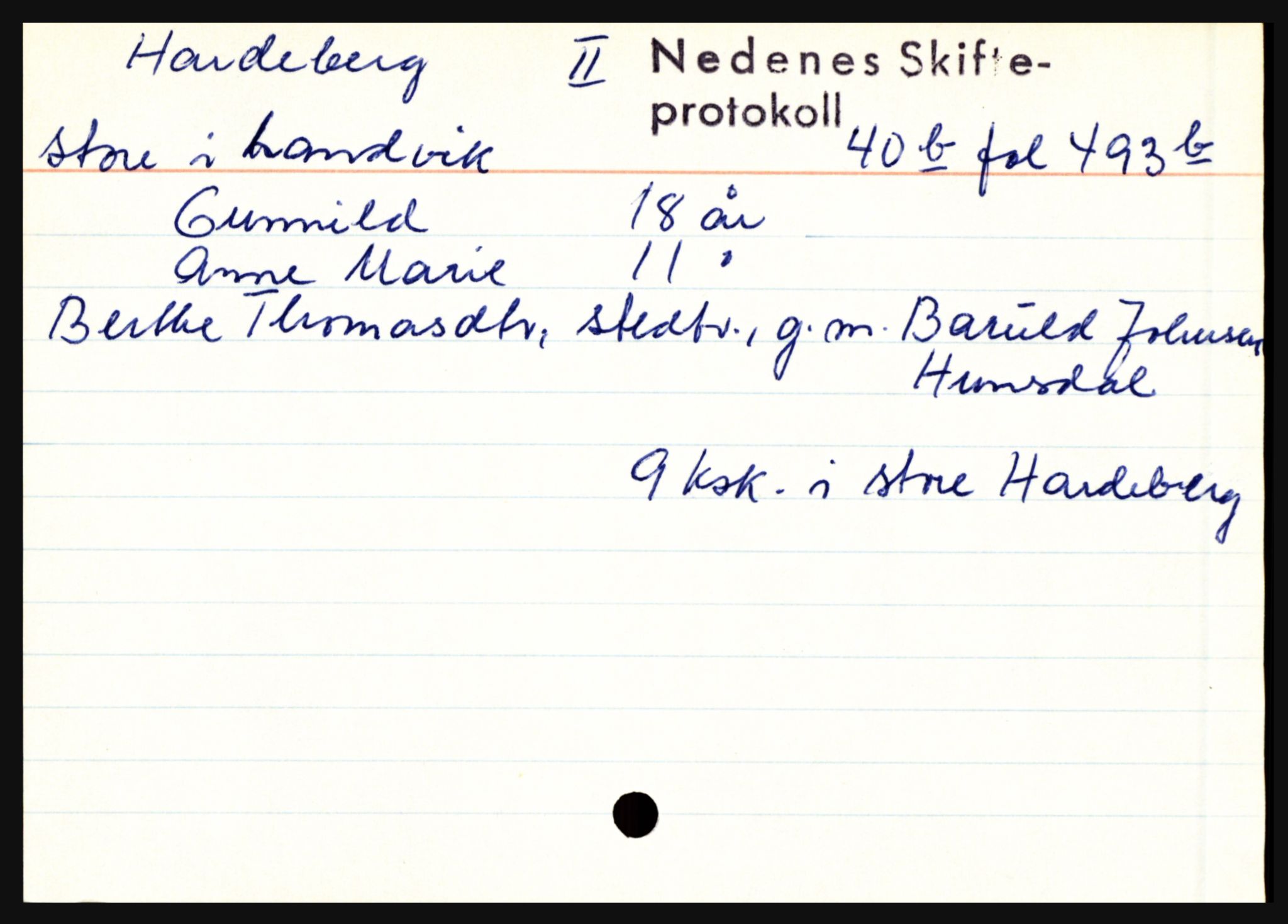 Nedenes sorenskriveri før 1824, AV/SAK-1221-0007/H, s. 10959