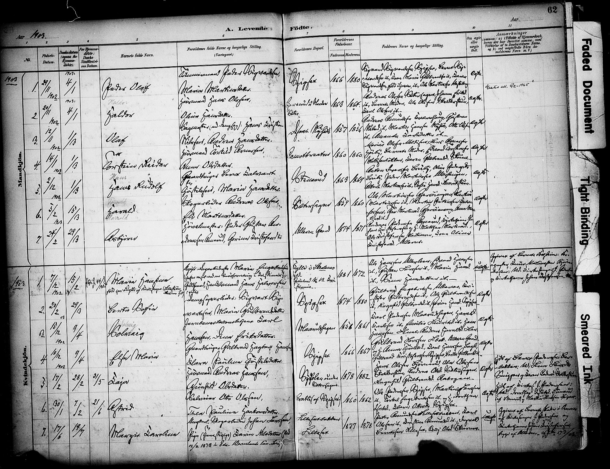 Sør-Odal prestekontor, AV/SAH-PREST-030/H/Ha/Haa/L0008: Ministerialbok nr. 8, 1886-1922, s. 62
