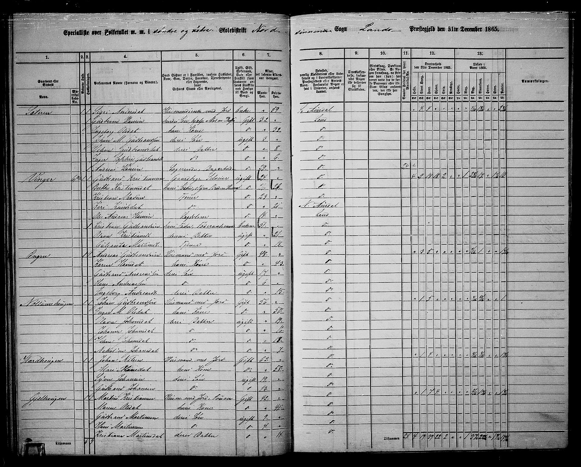 RA, Folketelling 1865 for 0536P Land prestegjeld, 1865, s. 62