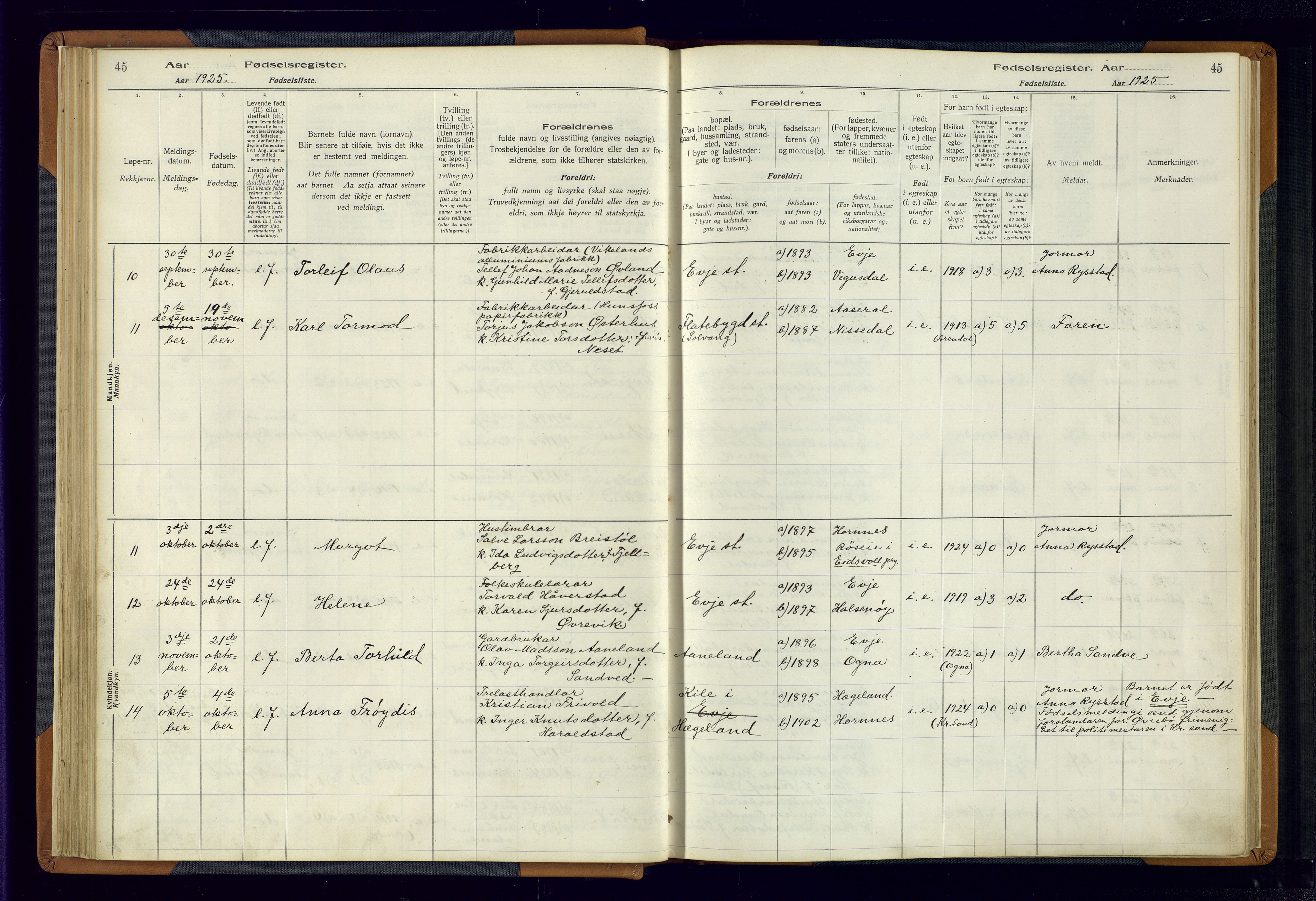 Evje sokneprestkontor, AV/SAK-1111-0008/J/Jc/L0004: Fødselsregister nr. 4, 1916-1968, s. 45