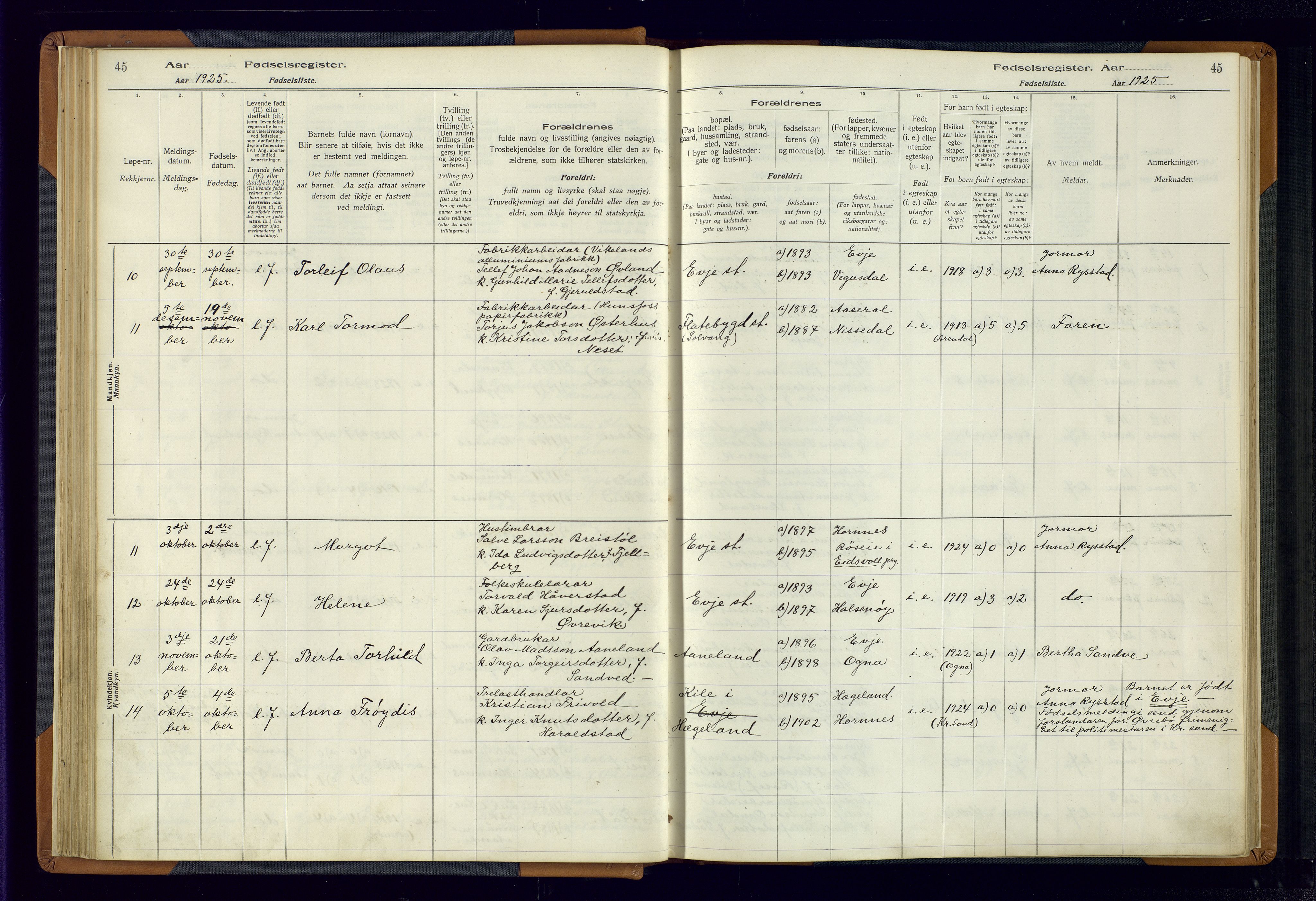 Evje sokneprestkontor, SAK/1111-0008/J/Jc/L0004: Fødselsregister nr. 4, 1916-1968, s. 45