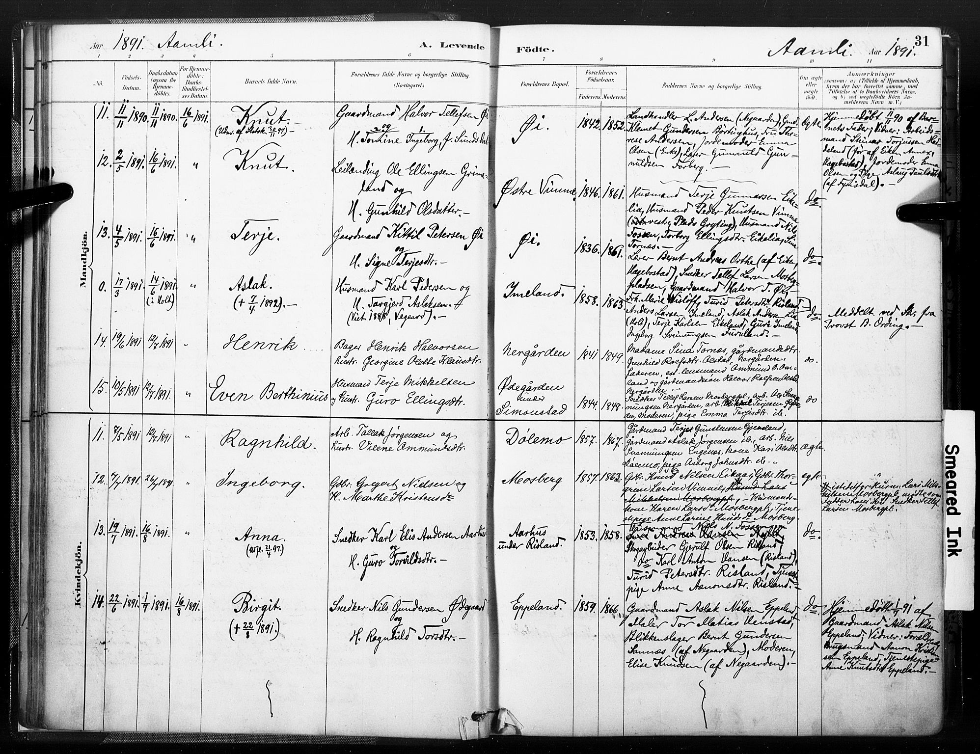 Åmli sokneprestkontor, AV/SAK-1111-0050/F/Fa/Fac/L0010: Ministerialbok nr. A 10 /1, 1885-1899, s. 31