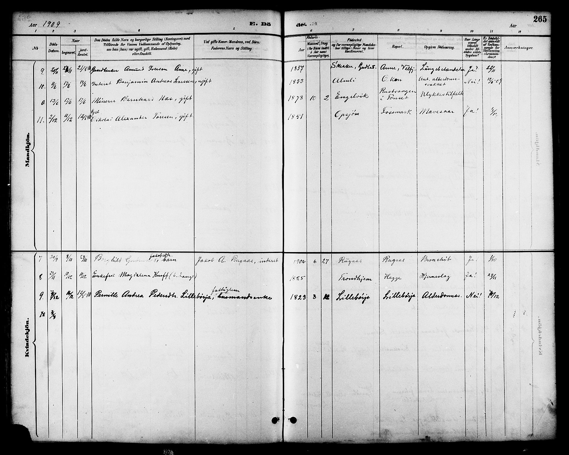 Ministerialprotokoller, klokkerbøker og fødselsregistre - Nordland, AV/SAT-A-1459/814/L0230: Klokkerbok nr. 814C03, 1884-1911, s. 265