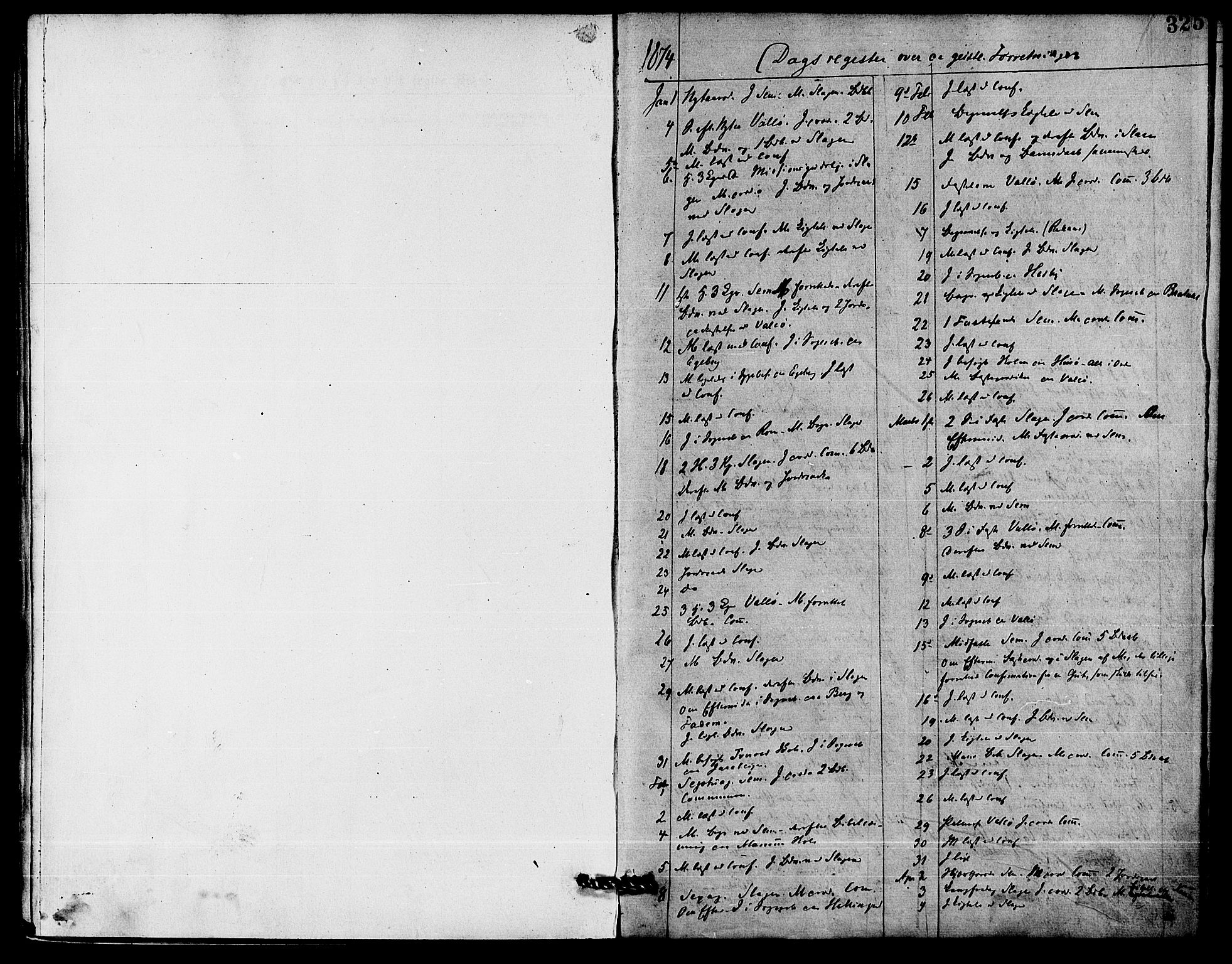 Sem kirkebøker, AV/SAKO-A-5/F/Fa/L0009: Ministerialbok nr. I 9, 1874-1877, s. 325