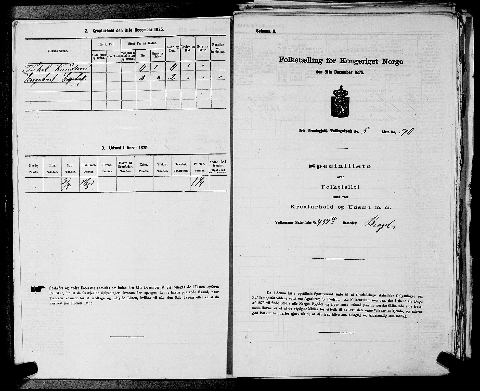 SAKO, Folketelling 1875 for 0617P Gol prestegjeld, 1875, s. 732