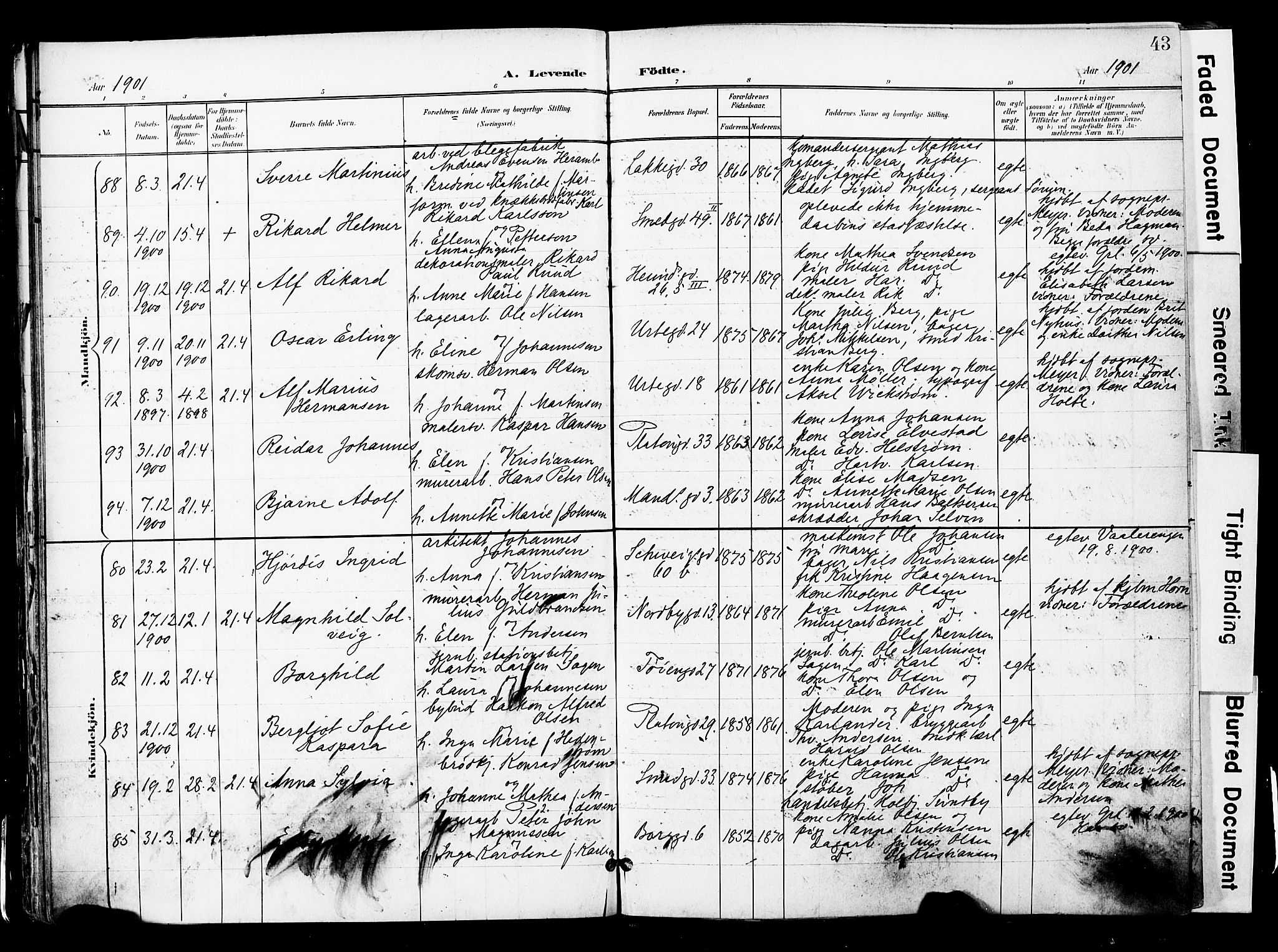 Grønland prestekontor Kirkebøker, AV/SAO-A-10848/F/Fa/L0014: Ministerialbok nr. 14, 1900-1911, s. 43