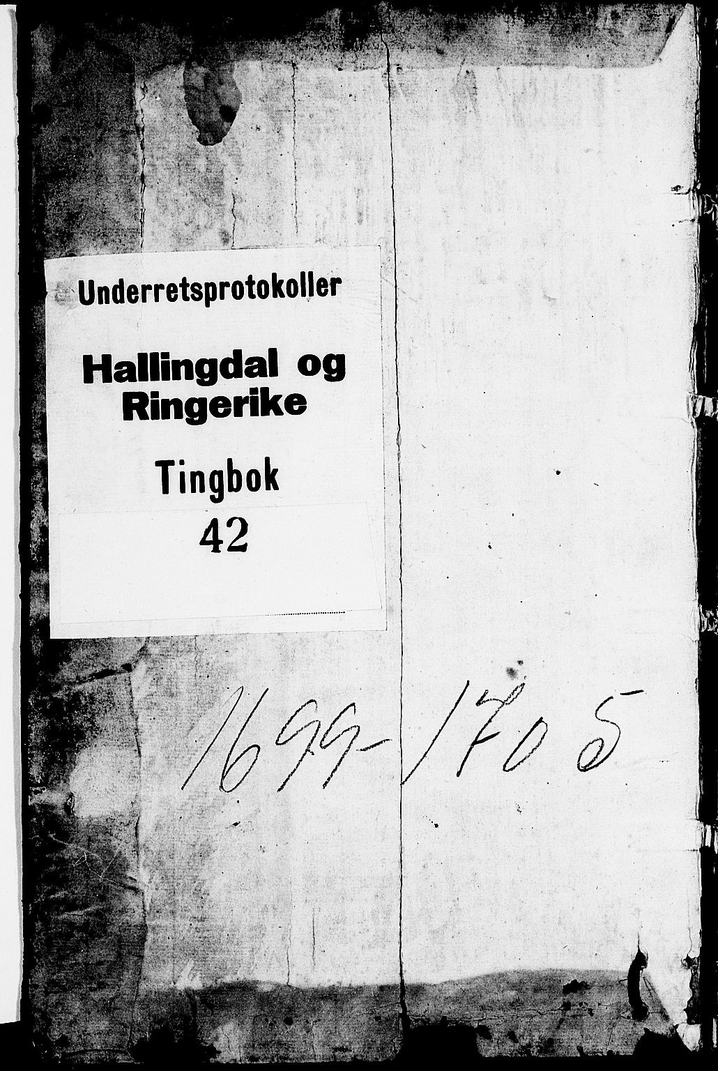 Ringerike og Hallingdal sorenskriveri, AV/SAKO-A-81/F/Fa/Faa/L0024: Tingbok, 1699-1705