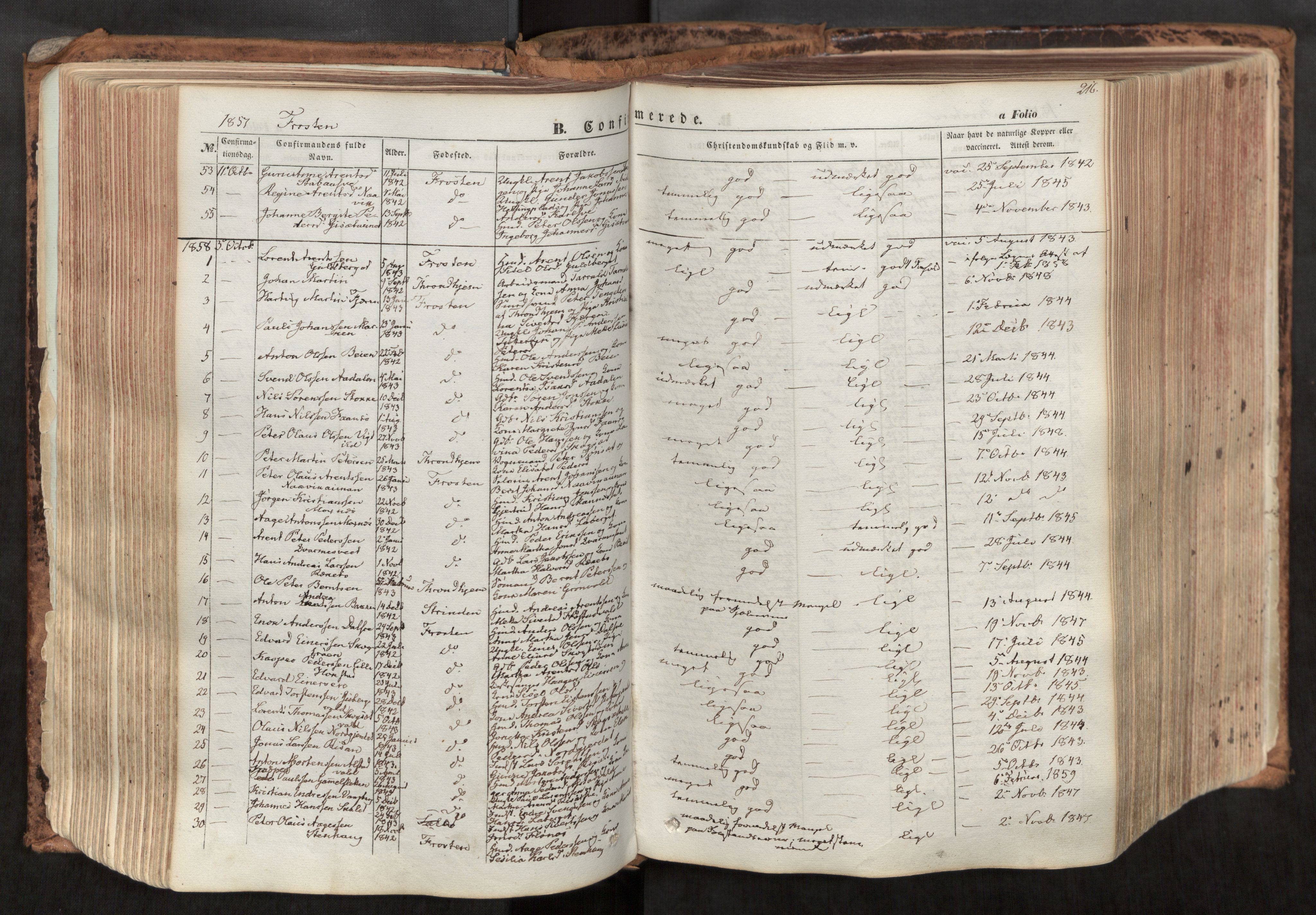 Ministerialprotokoller, klokkerbøker og fødselsregistre - Nord-Trøndelag, AV/SAT-A-1458/713/L0116: Ministerialbok nr. 713A07, 1850-1877, s. 216