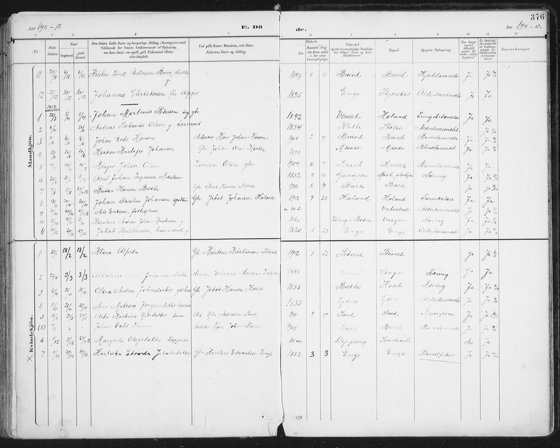 Ministerialprotokoller, klokkerbøker og fødselsregistre - Nordland, AV/SAT-A-1459/852/L0741: Ministerialbok nr. 852A11, 1894-1917, s. 376