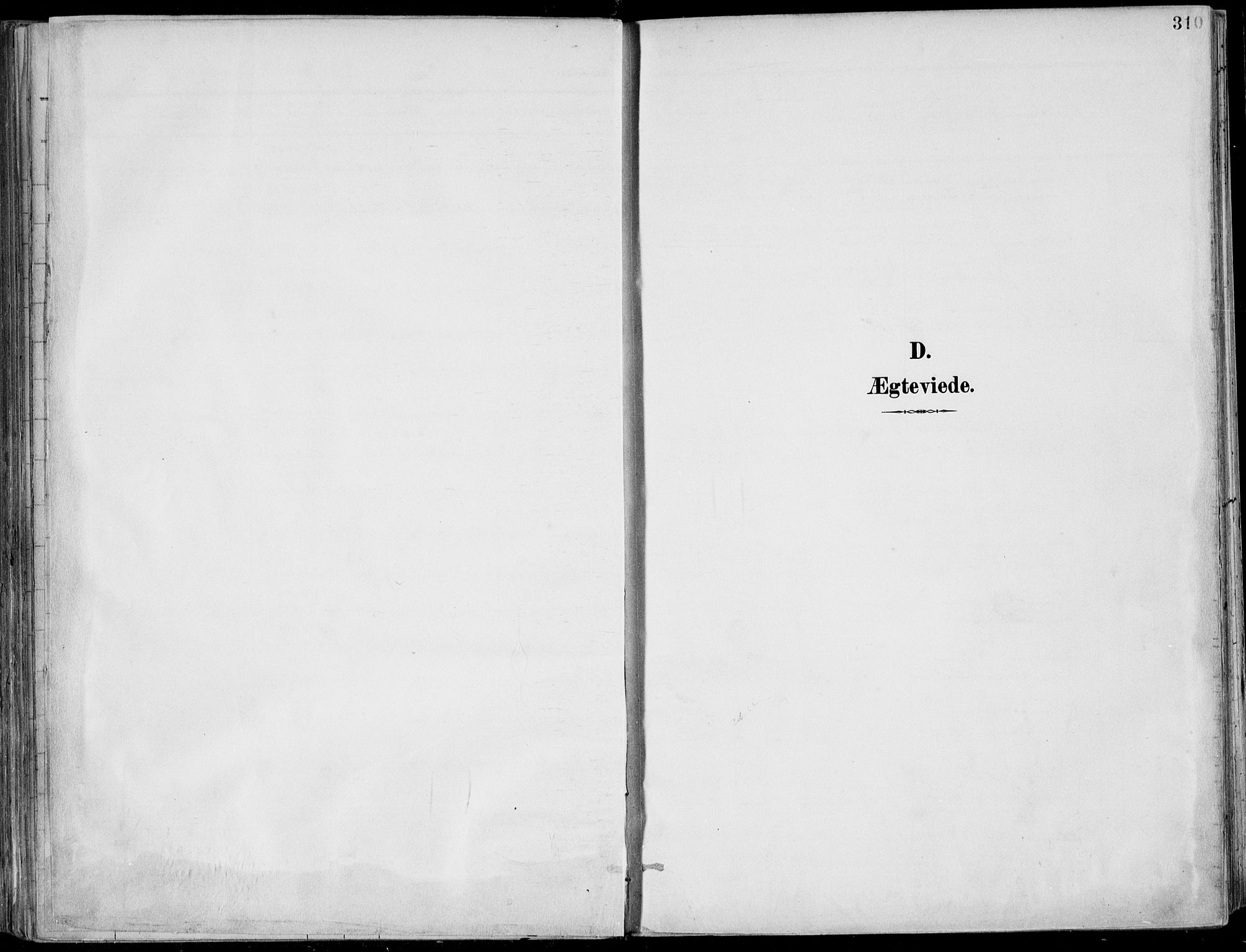 Porsgrunn kirkebøker , AV/SAKO-A-104/F/Fa/L0011: Ministerialbok nr. 11, 1895-1919, s. 310